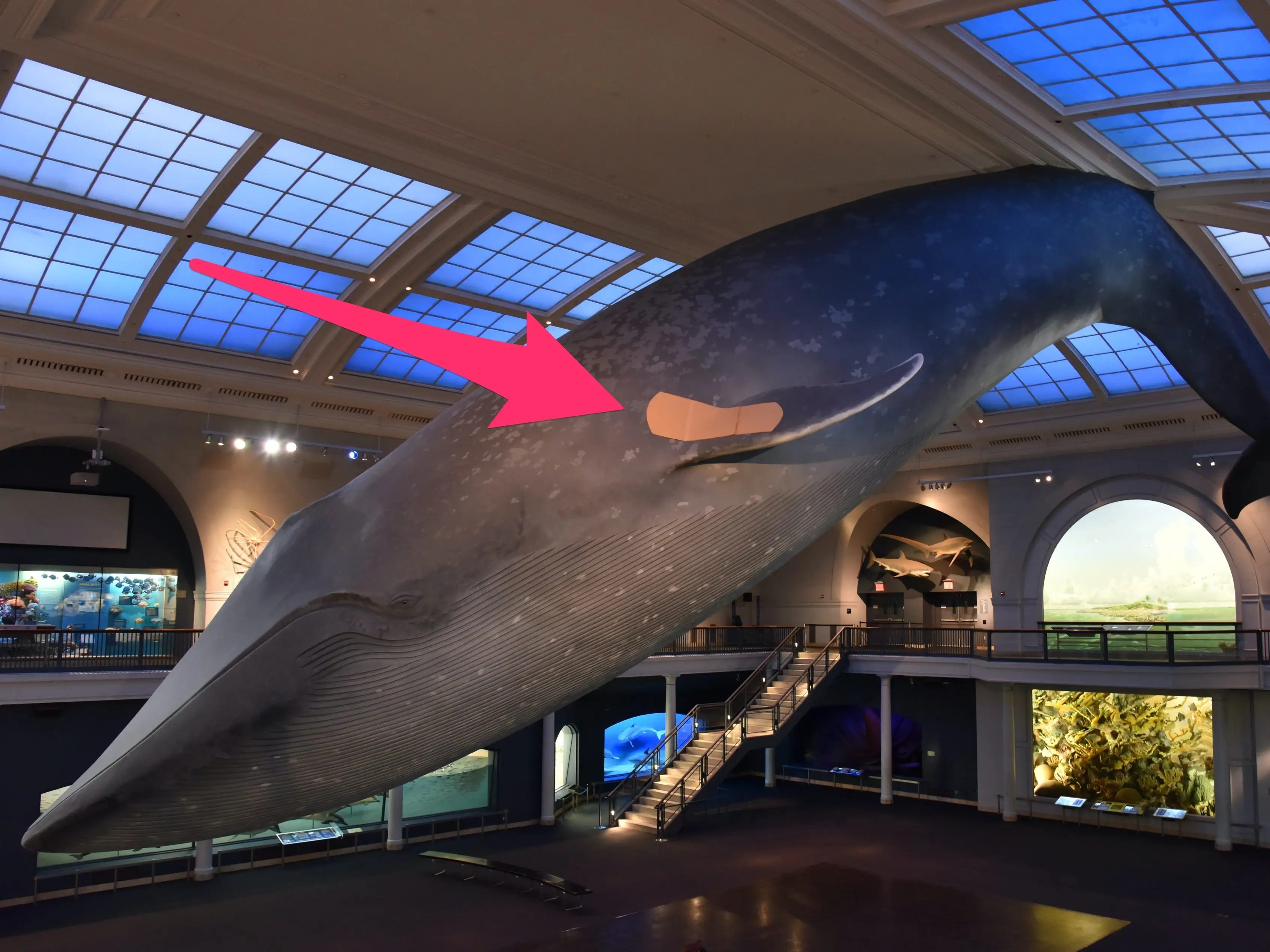 Map of destinations in American Museum of Natural History