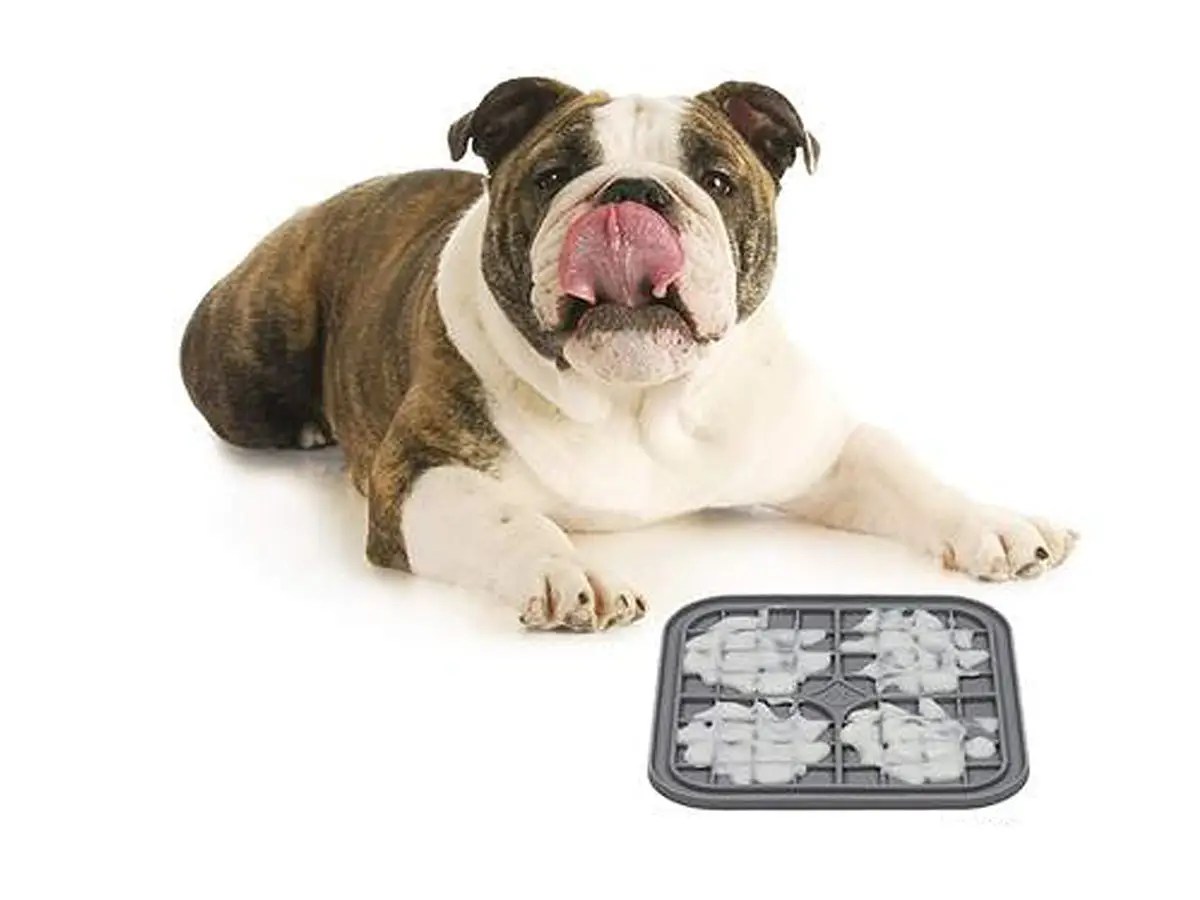 The 5 best dog lick pads for anxiety, bathing, and feeding LaptrinhX