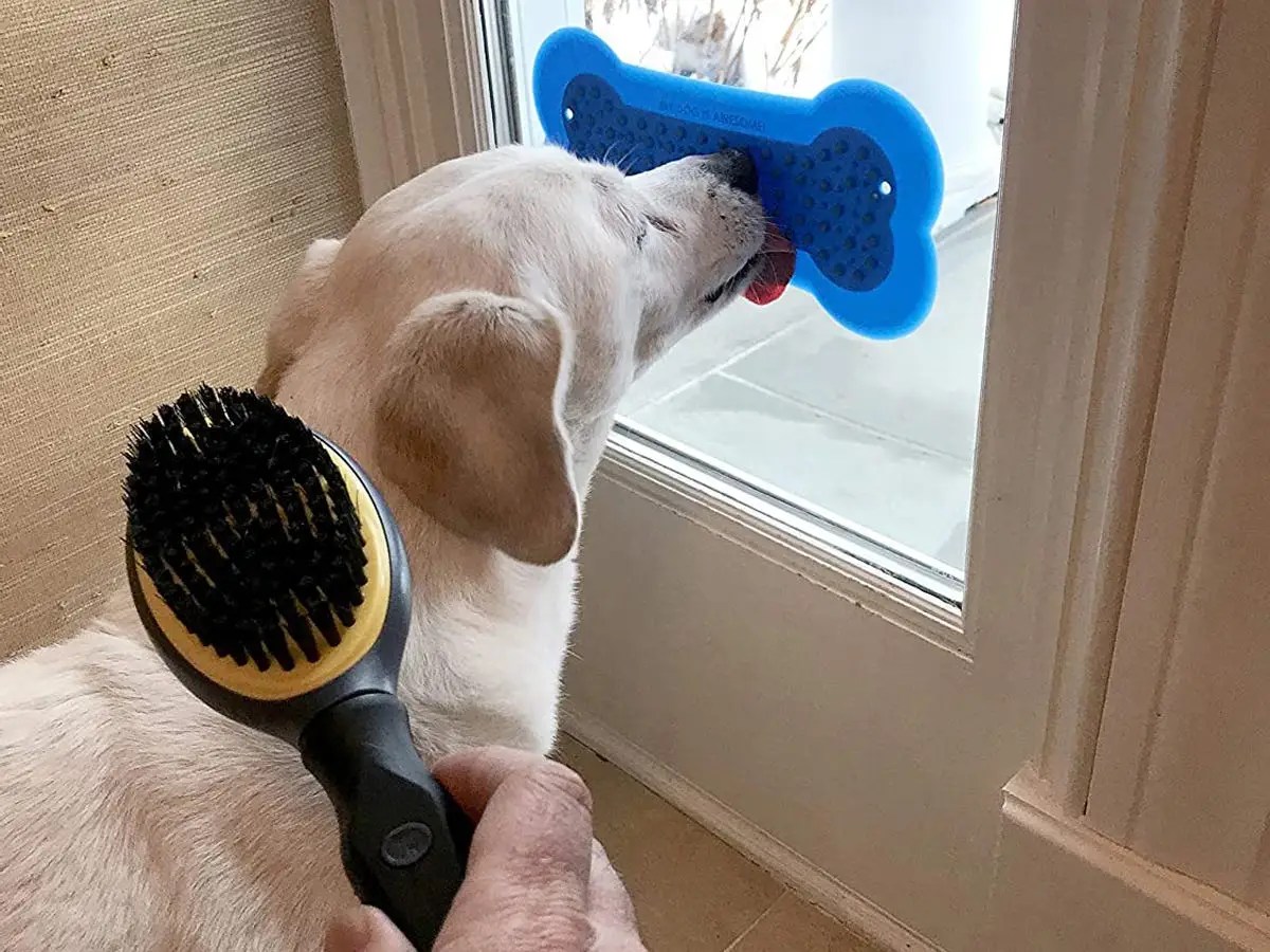 The 5 best dog lick pads for anxiety, bathing, and feeding LaptrinhX