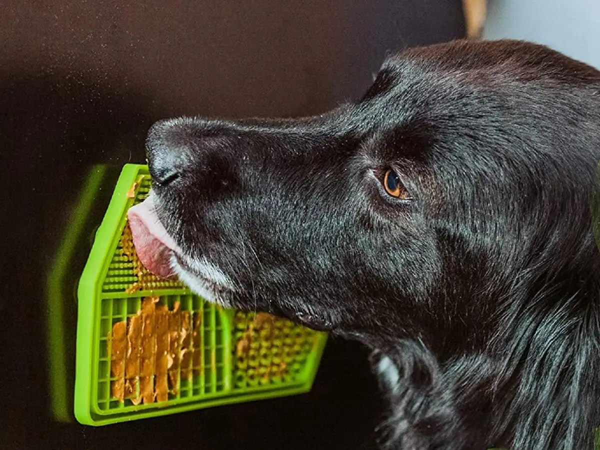 The 5 best dog lick pads for anxiety, bathing, and feeding LaptrinhX