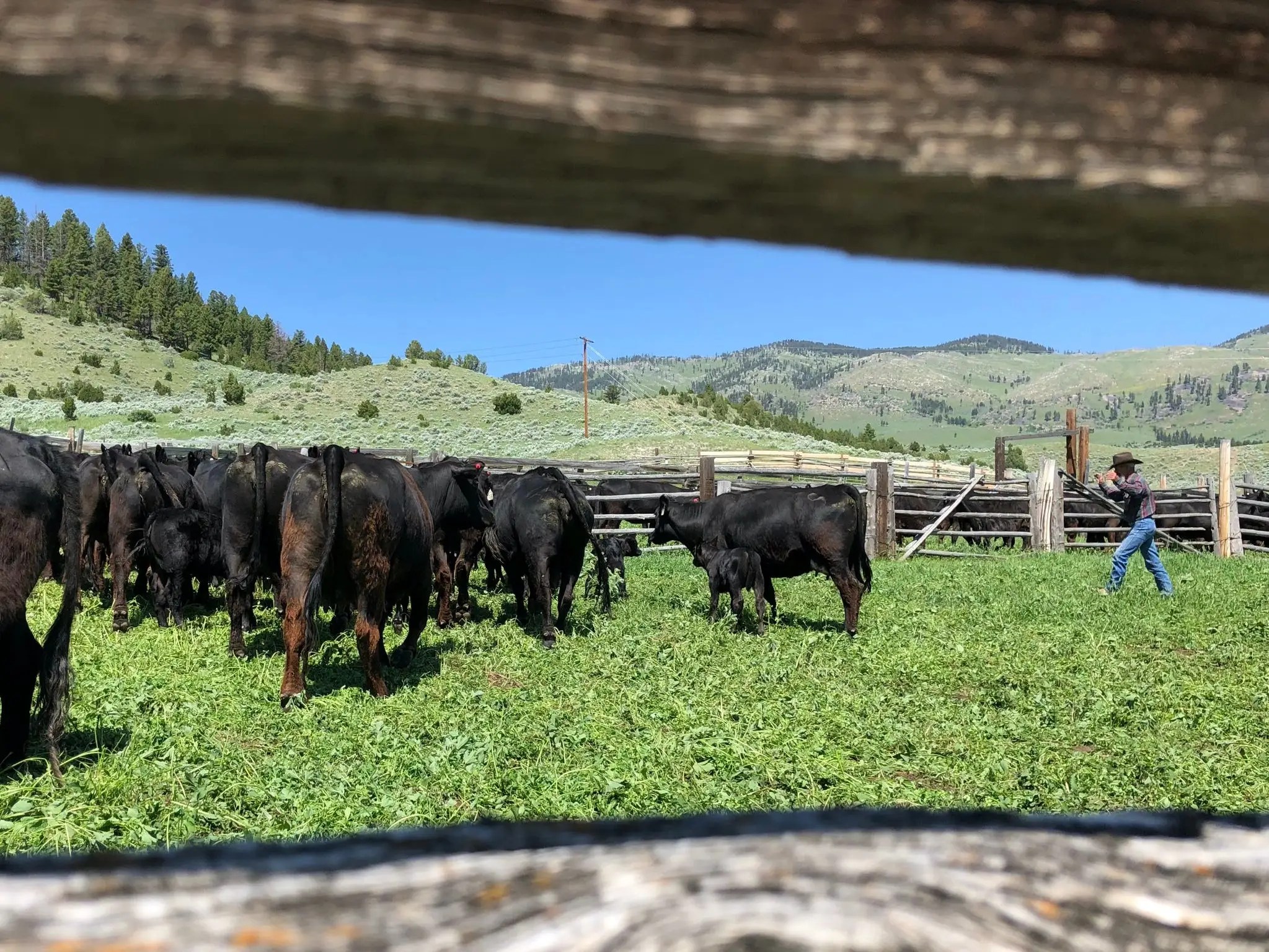 A massive Montana ranch from 'A River Runs Through It' is set to sell for 136 million in one of