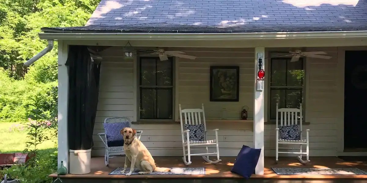 Best PetFriendly Airbnbs in the US 2021
