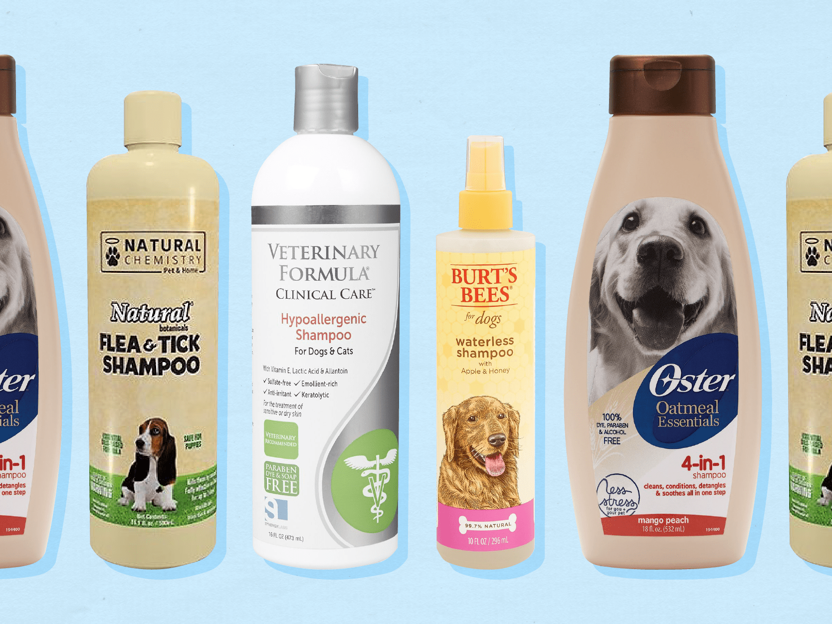 The Best Flea Shampoos For Dogs Of 2023