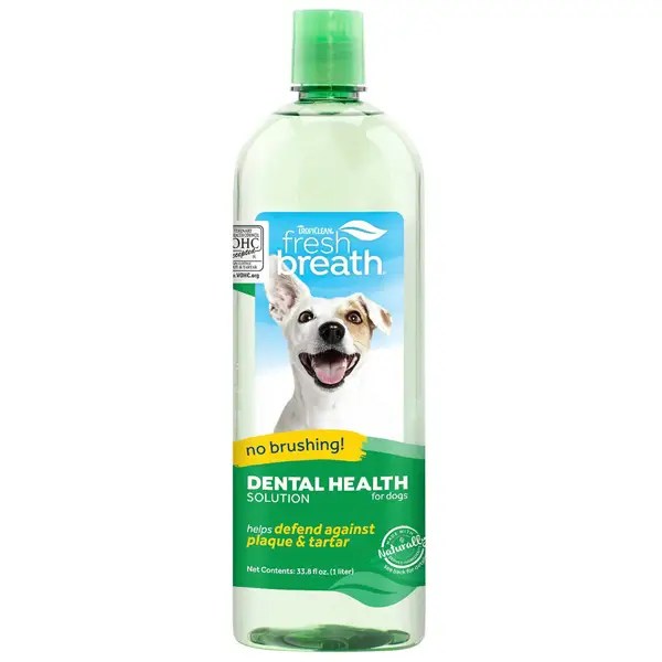 The Best Dog Toothpaste, Toothbrush, and Dental Treats in 2021