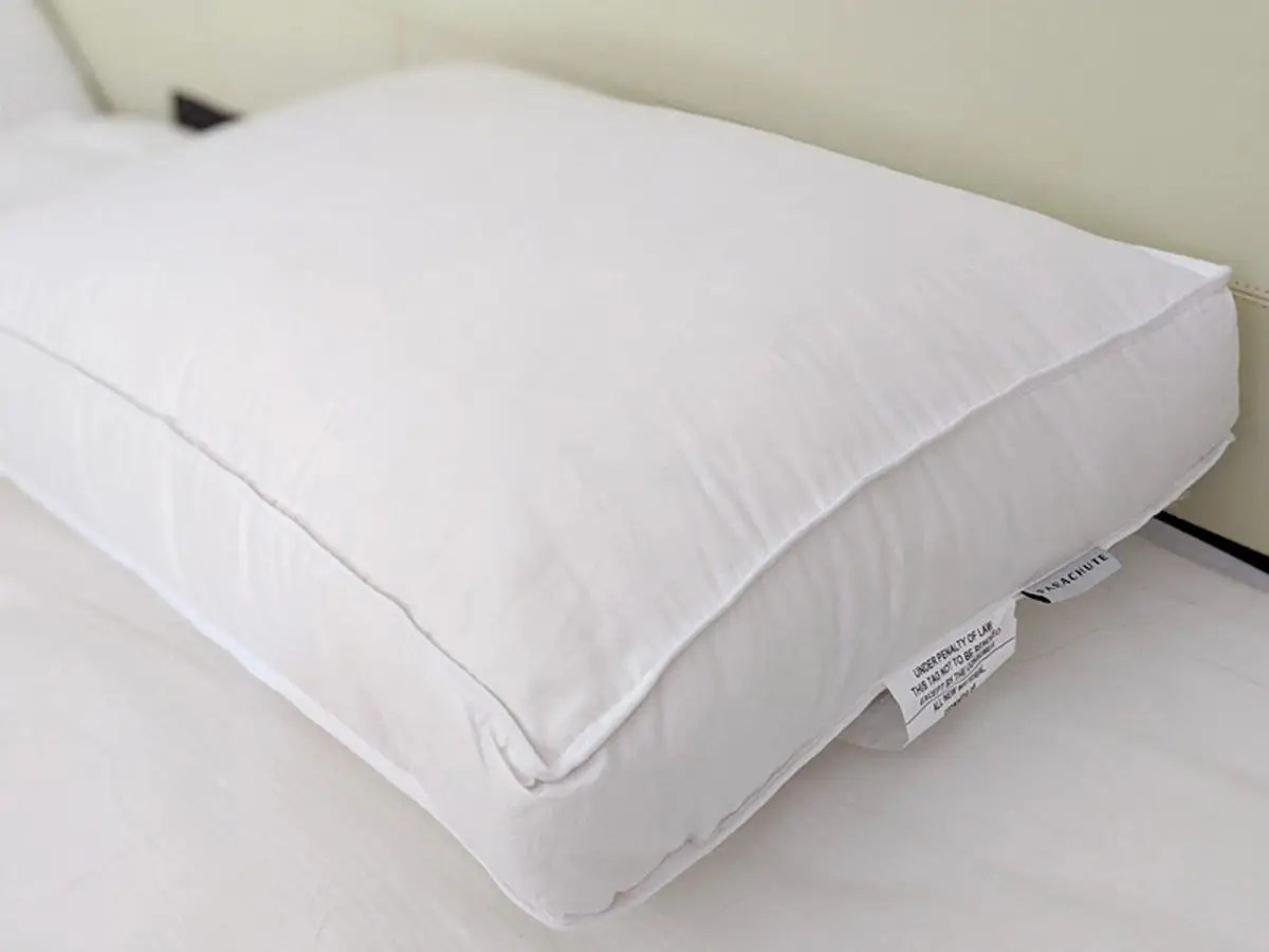 Best Down Pillows 2023 Dikla Akrat