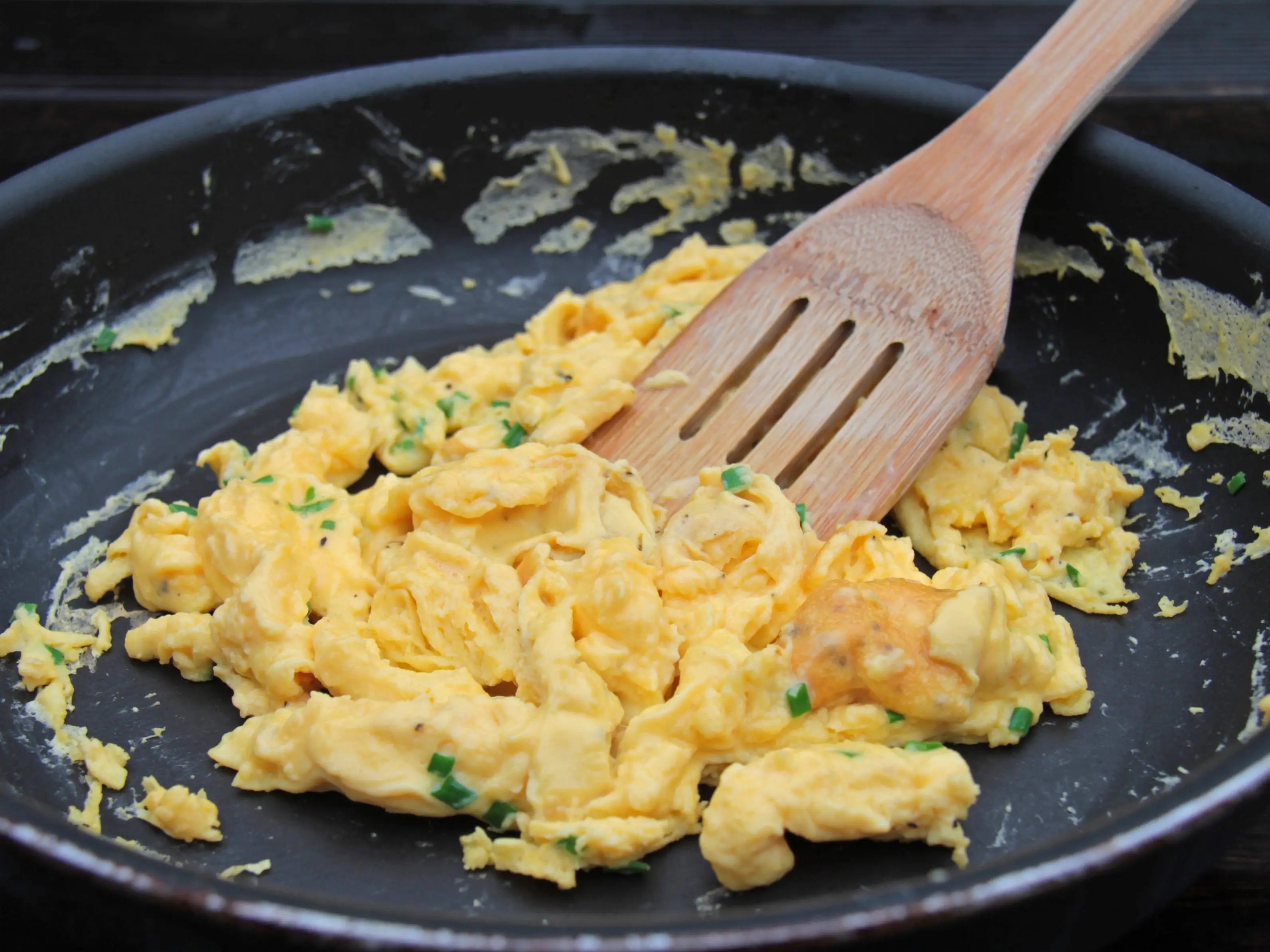 Can Dogs Have Scrambled Eggs