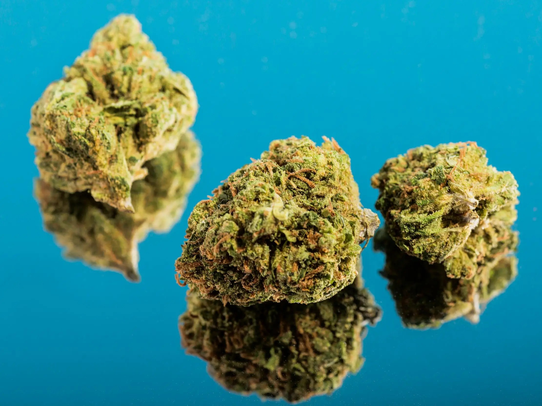 Truck Drivers Reveal What They Think About Drug Testing, Marijuana