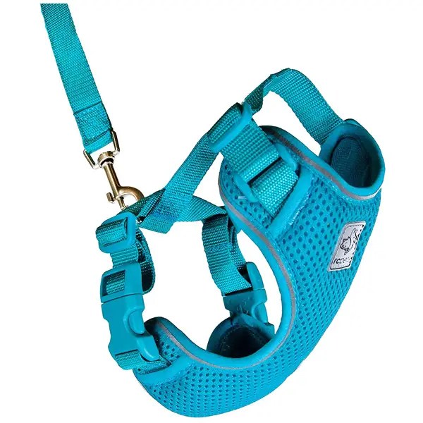 Best Cat Harnesses in 2021