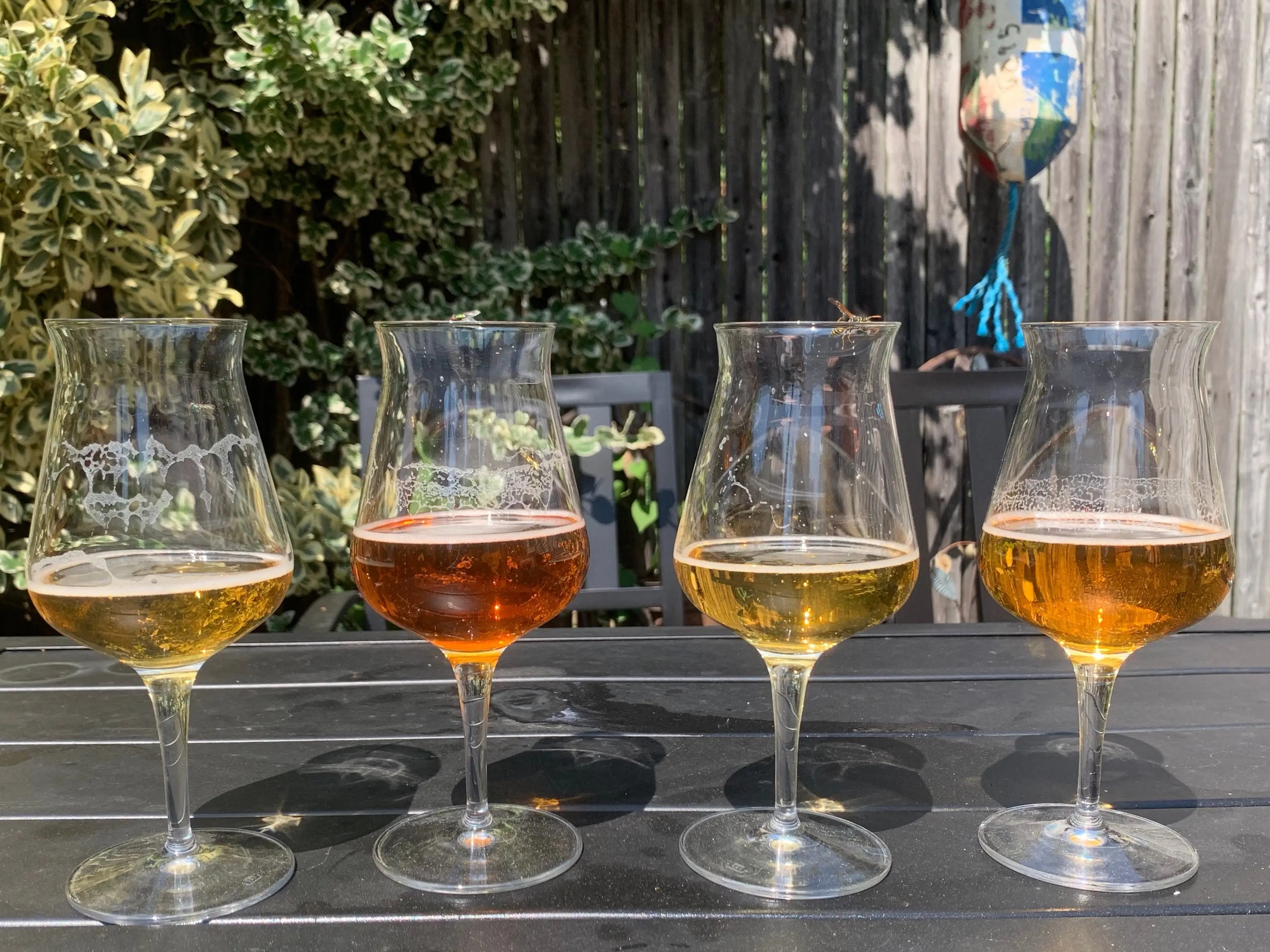 Made in Teku Beer Glass Review 2021 Best Glasses for Beer