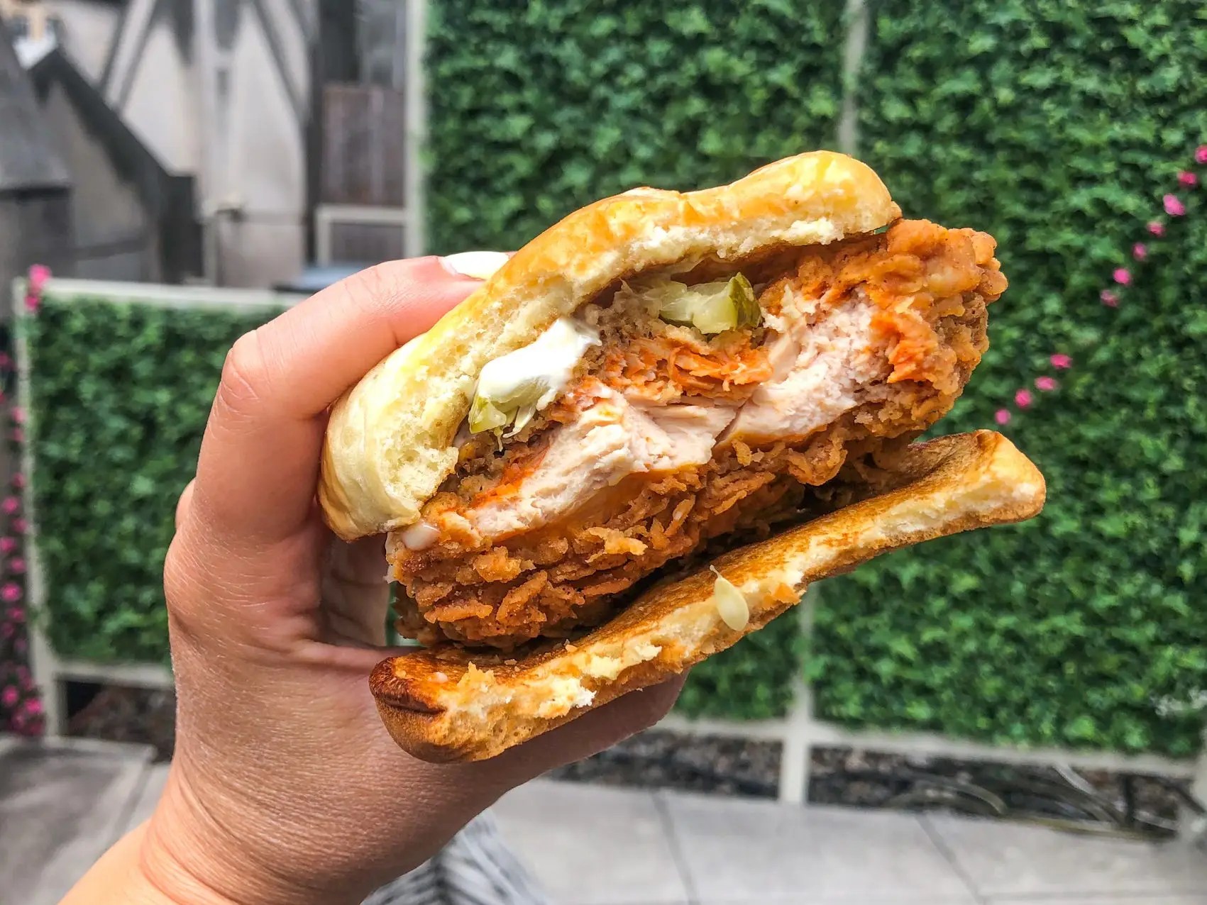 I Compared the Spicy Chicken Sandwiches From 5 FastFood Chains