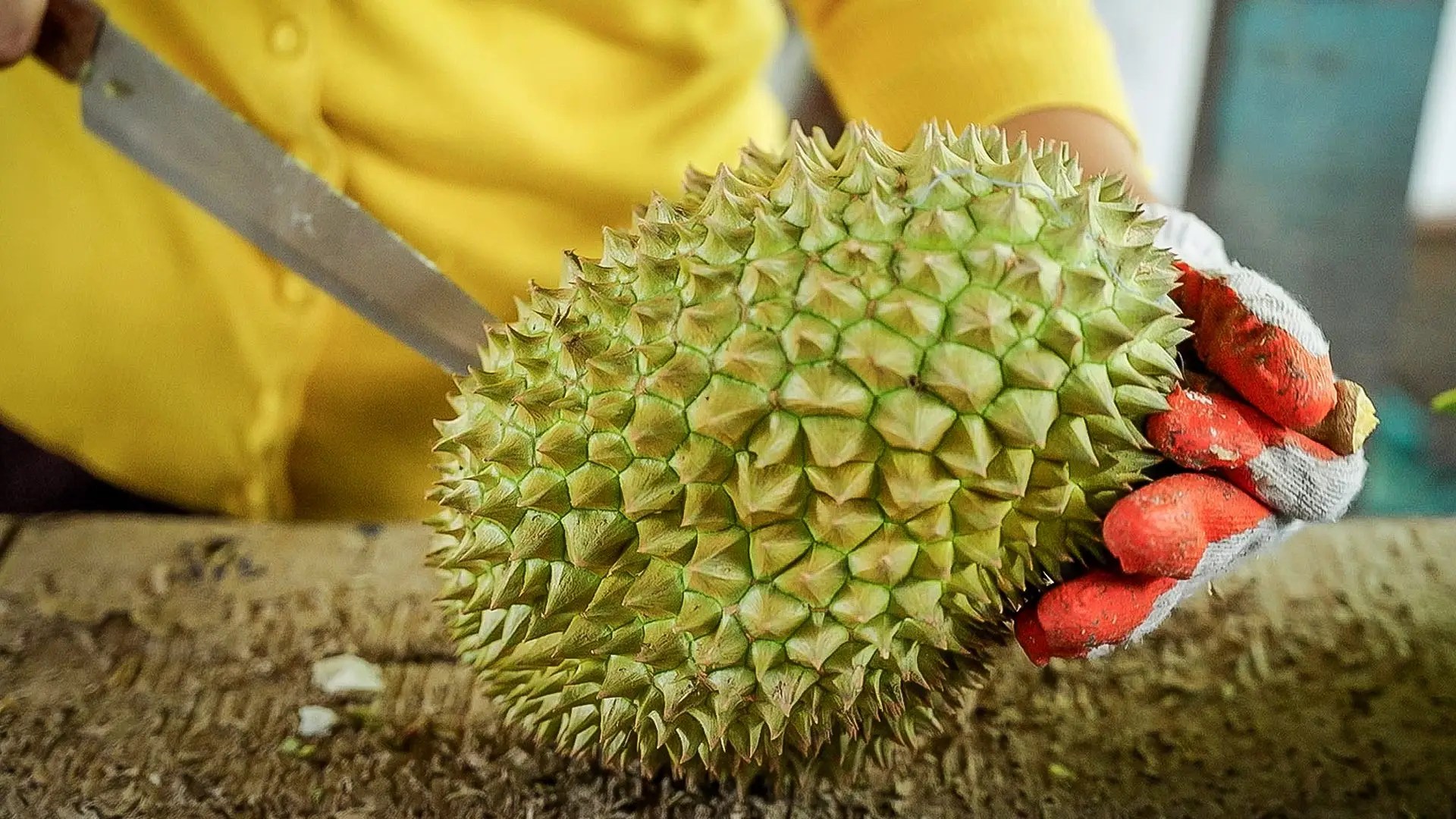 Ini 9 Cara Mudah Pilih Buah Durian, Confirm Sedap Berlemak!
