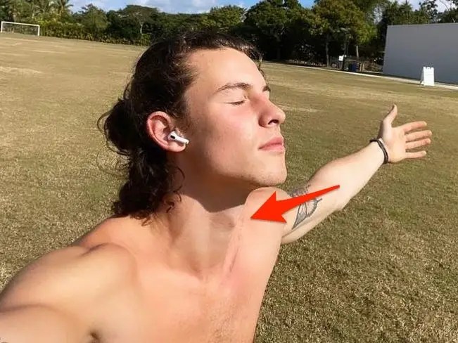 Shawn Mendes' Tattoos: A Guide To His Ink And Their Meanings 450_x_600_jpg