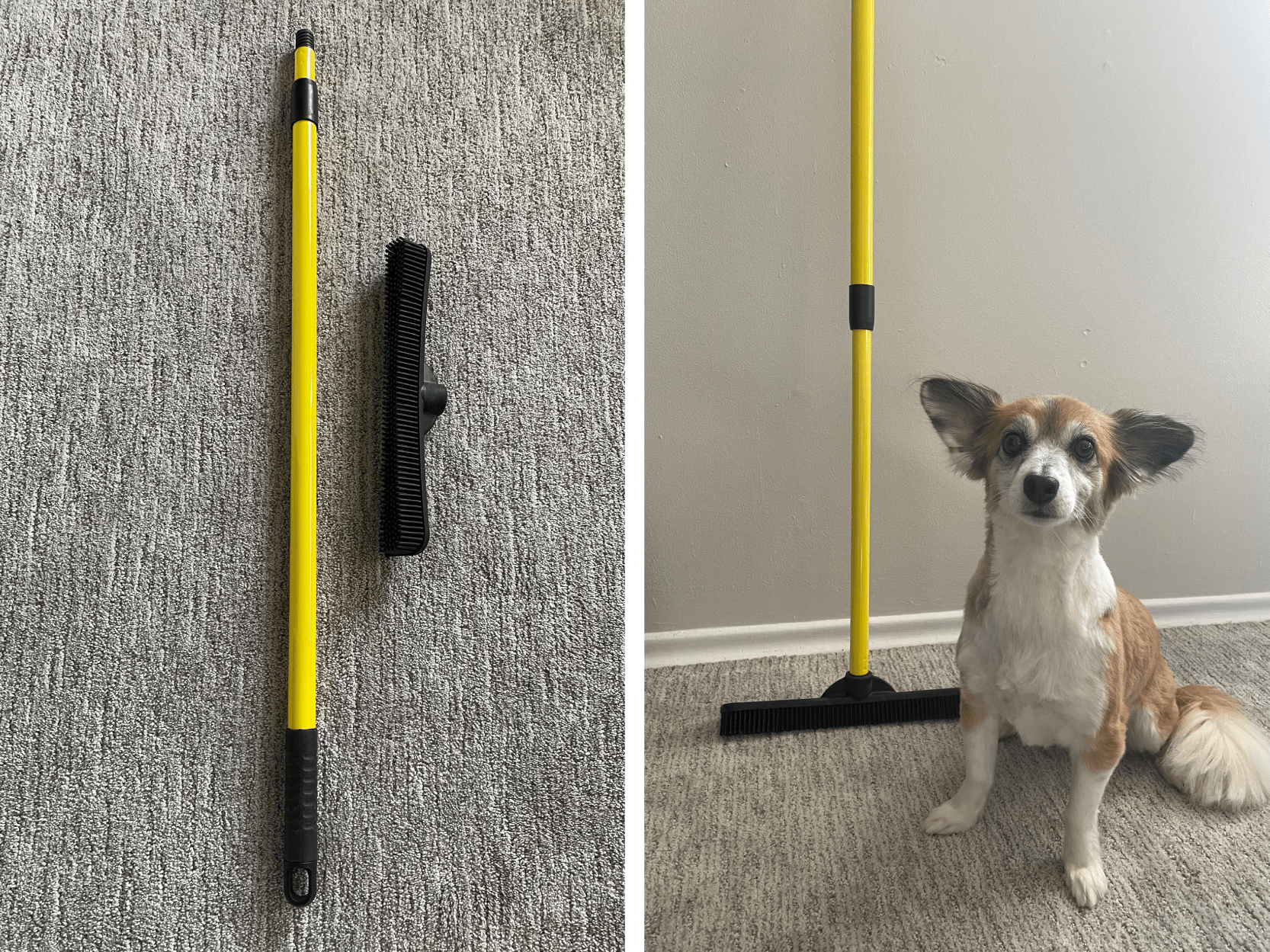 What Is The Best Broom For Dog Hair