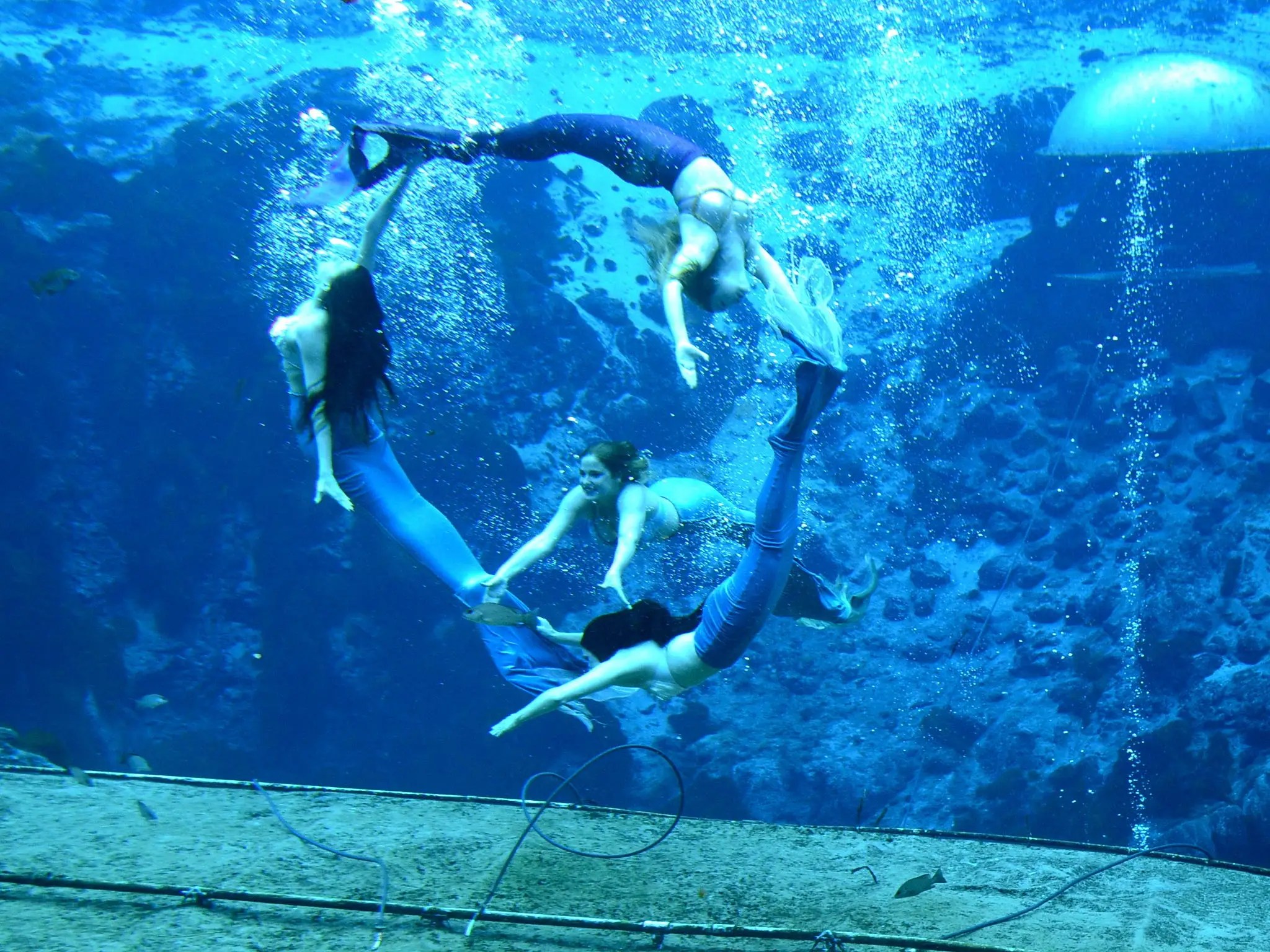 A Florida Park Is Hiring Mermaids. These Are the Key Skills You Need