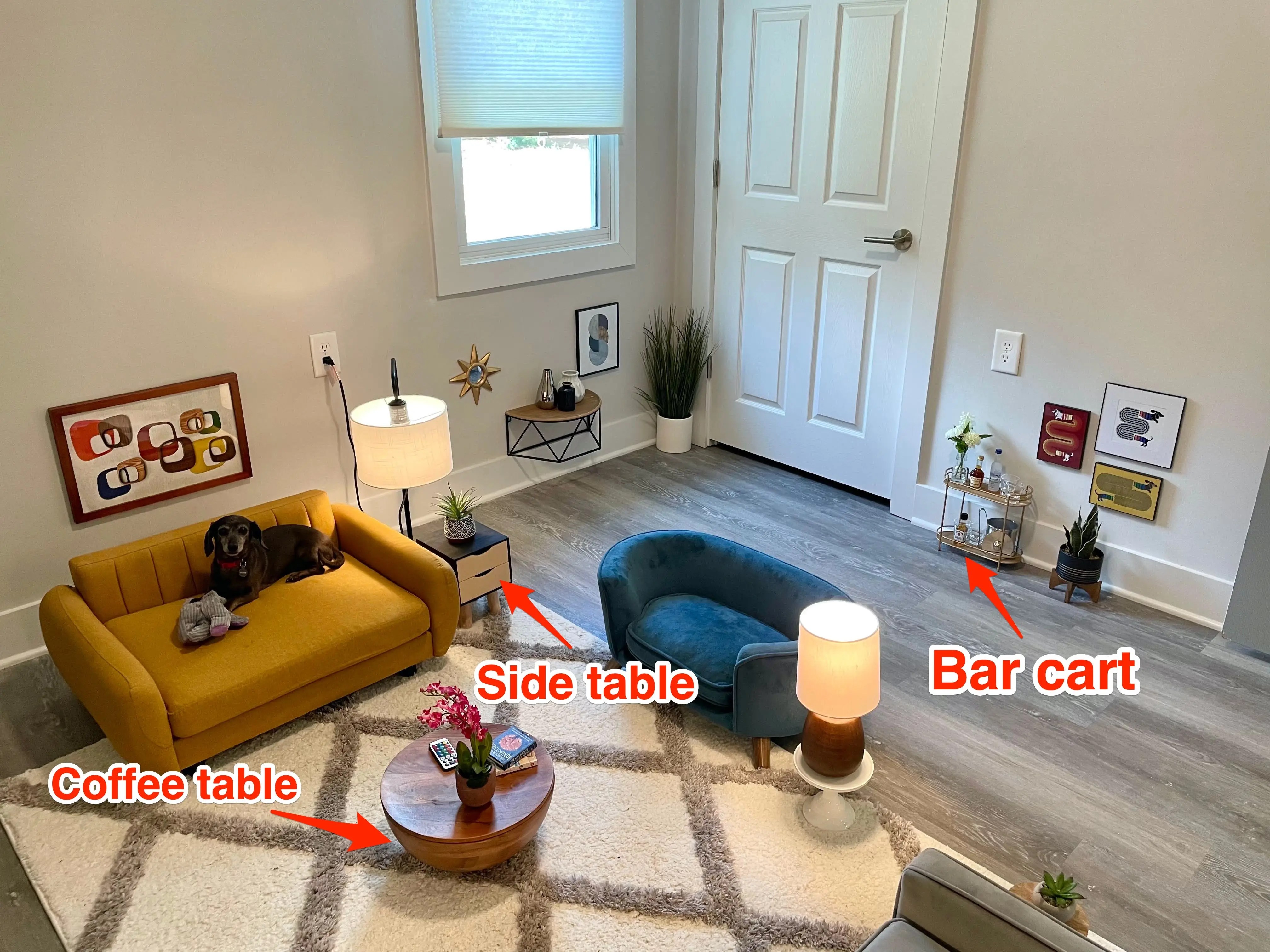 TikToker Created a Small Living Room for His Three Dogs Business Insider