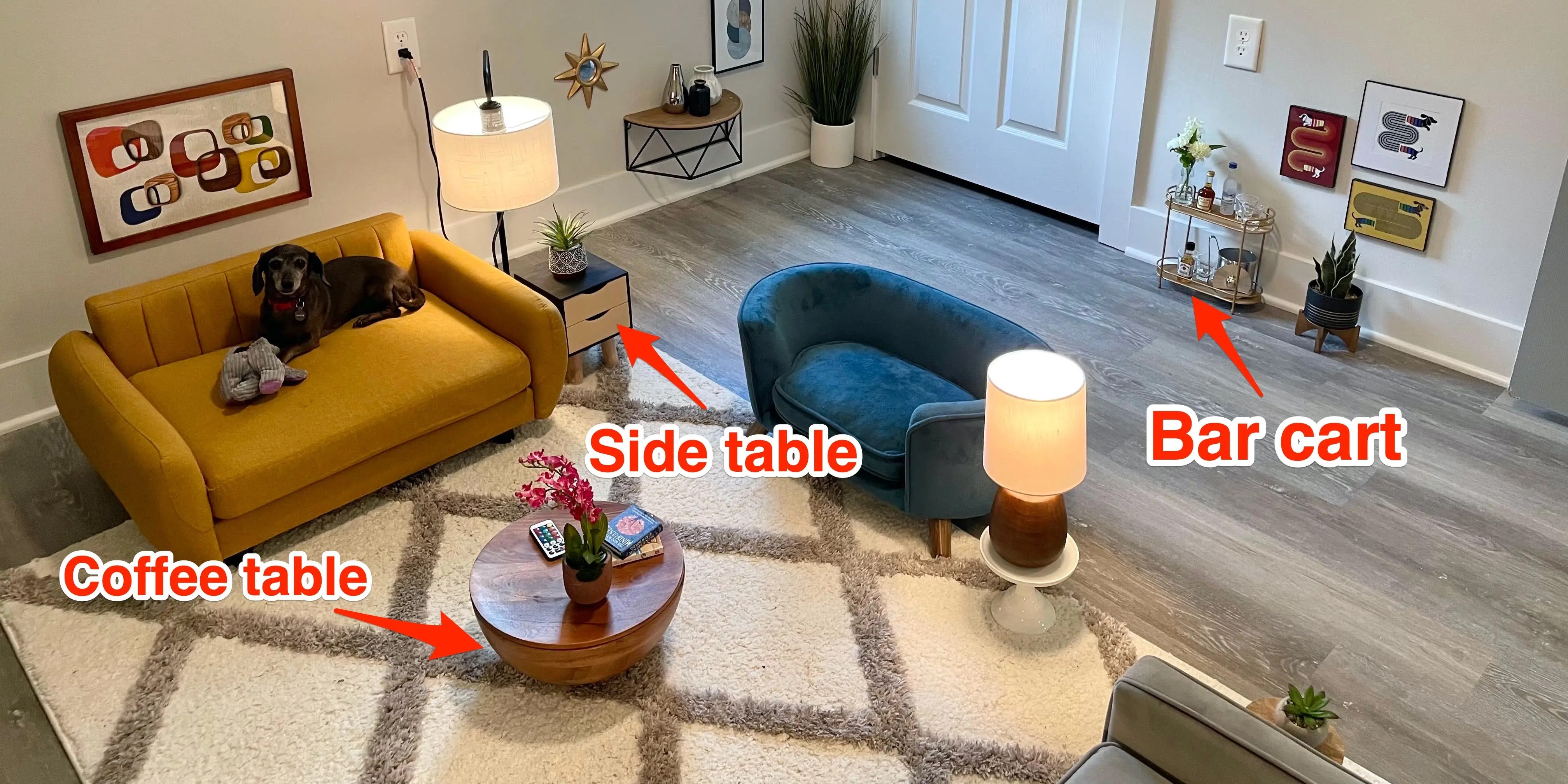 TikToker Created a Small Living Room for His Three Dogs