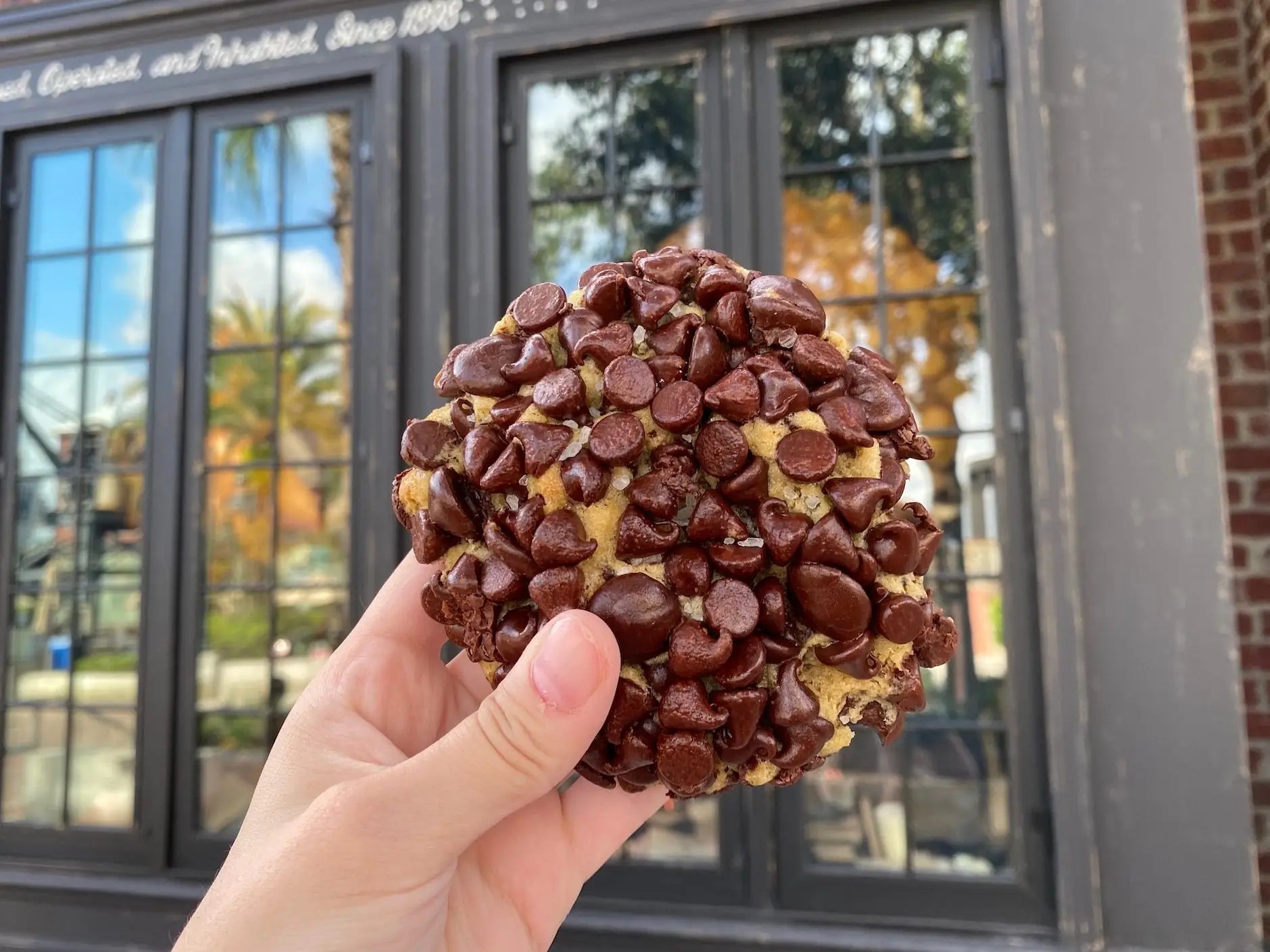Review and Photos of the Disney Springs Cookie Bakery