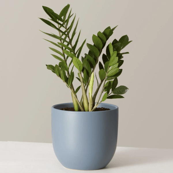 Cyber Monday Home Decor Deals 15 Stylish Floor Lamps, Throw Blankets