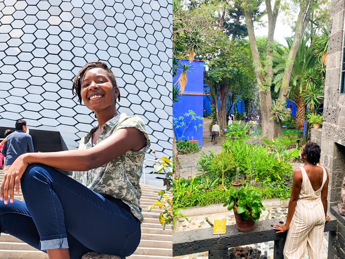 How Can I Move My Dog To Mexico