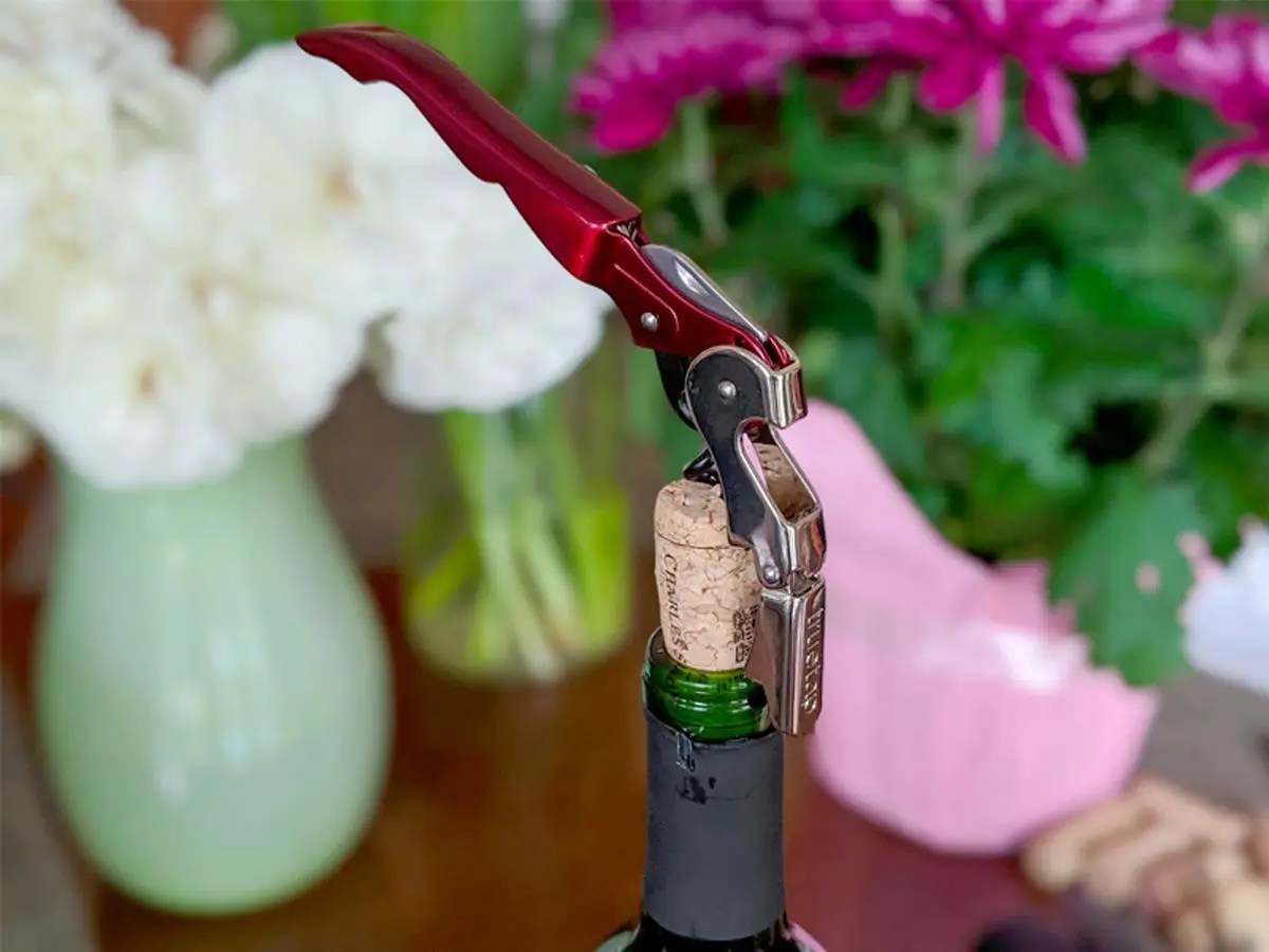 The 14 best gifts for wine lovers in 2021, from glassware and carrying