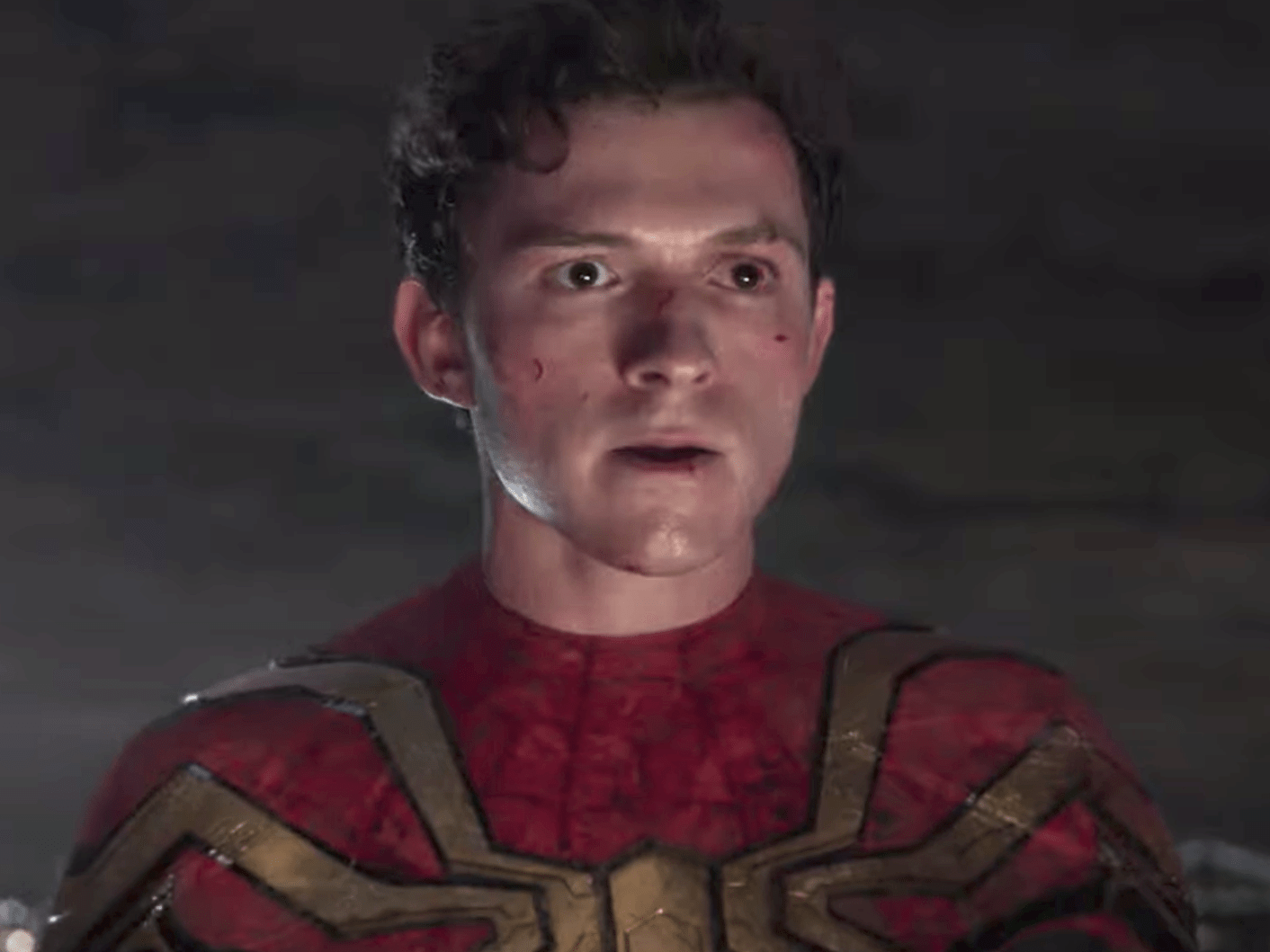 Tom Holland Doesn't Want to Play SpiderMan After He Turns 30