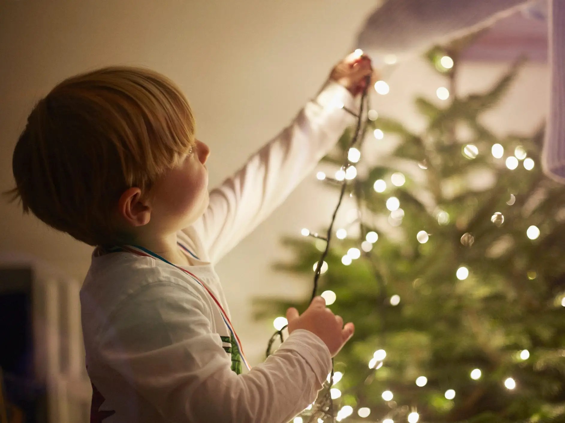 checking christmas light bulbs