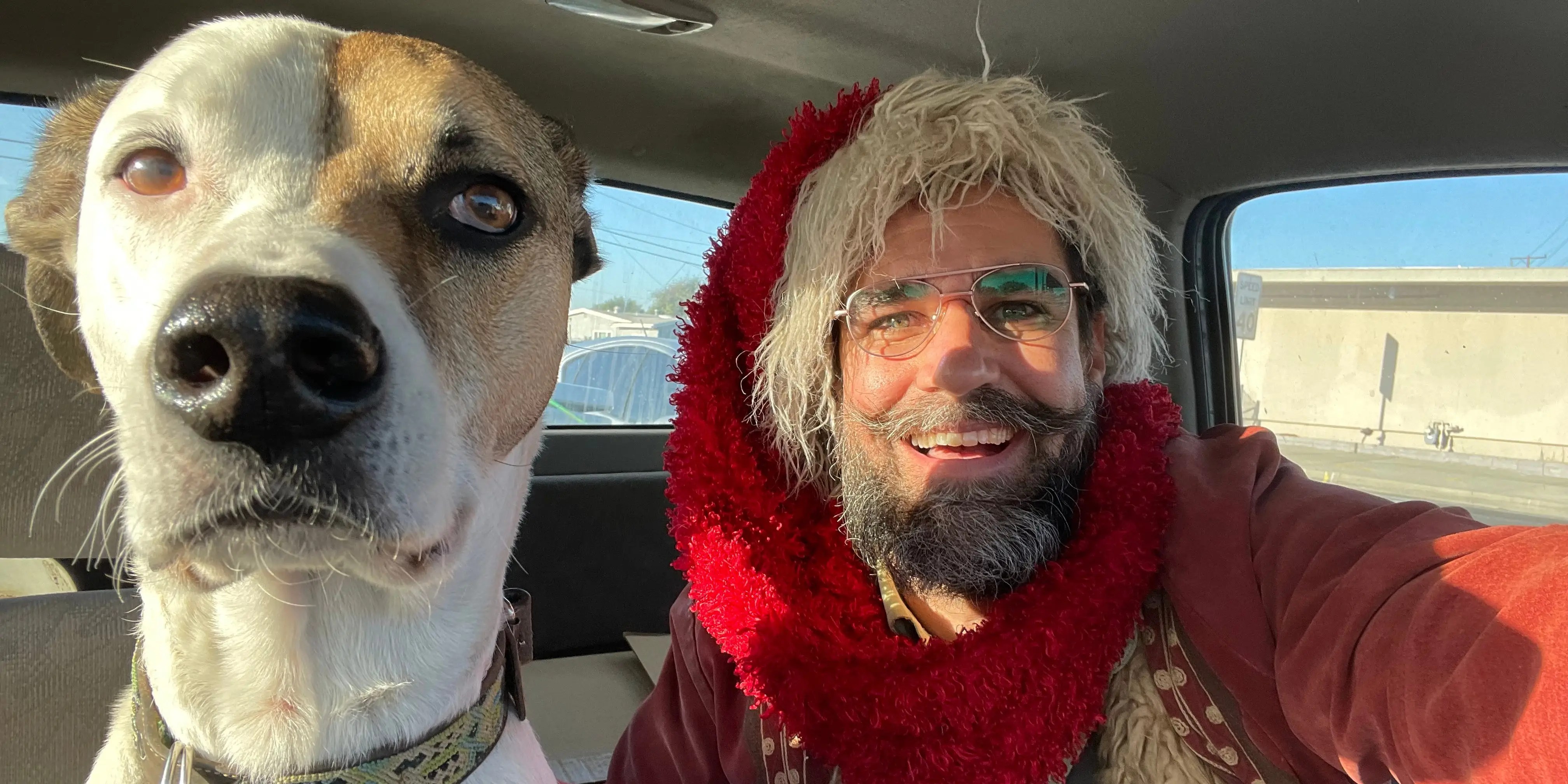 I Rent Out Living Christmas Trees to Replant After the Holidays