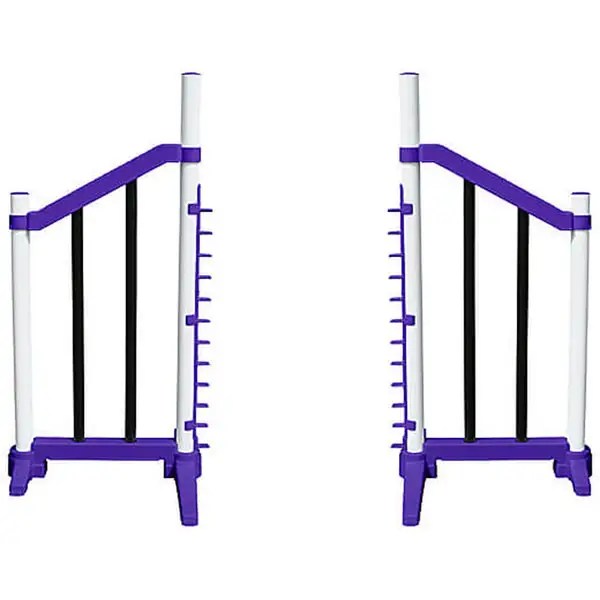 The 13 Best Toys for Indoor Exercise for Dogs, According to Dog Trainers