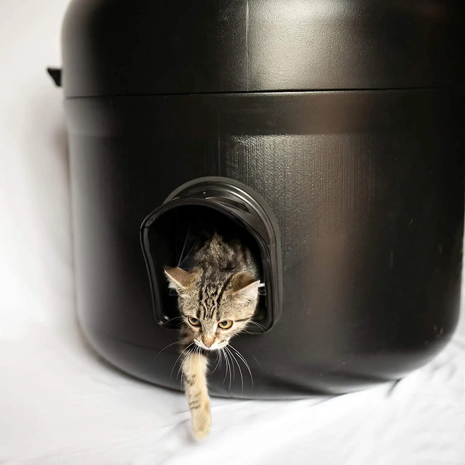 Waterproof Outdoor Cat House