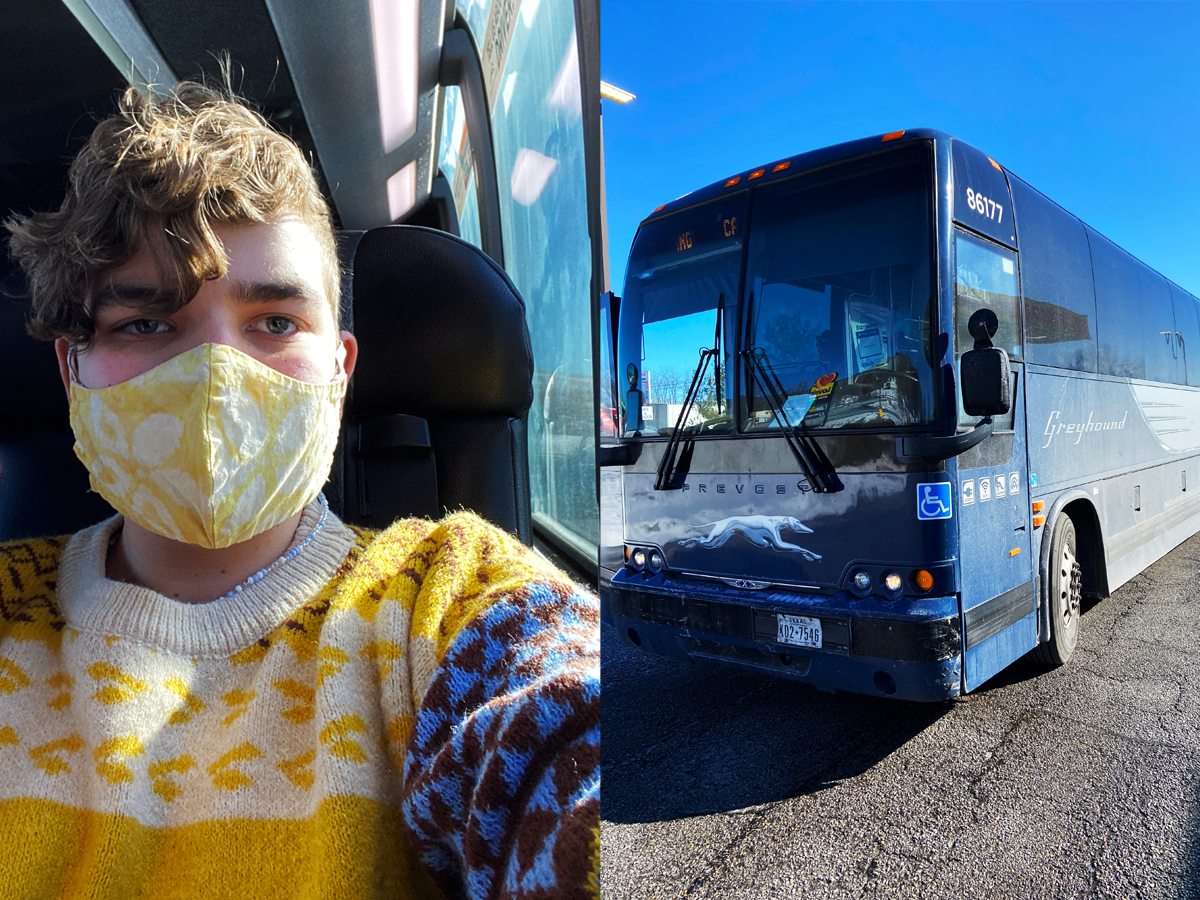 Are Dogs Allowed On Greyhound Bus