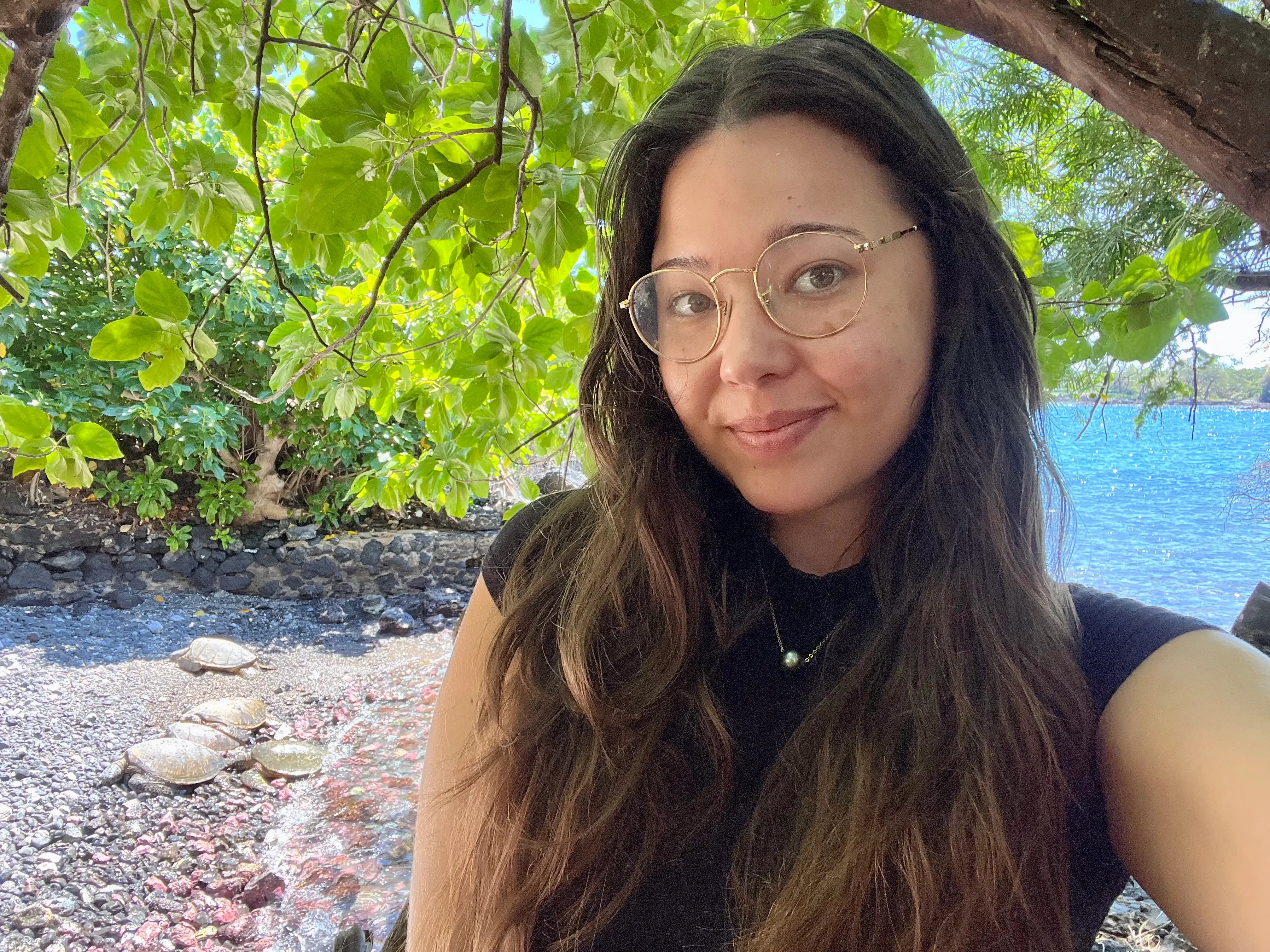 Tourists’ biggest Hawaii mistakes cost more than fun
