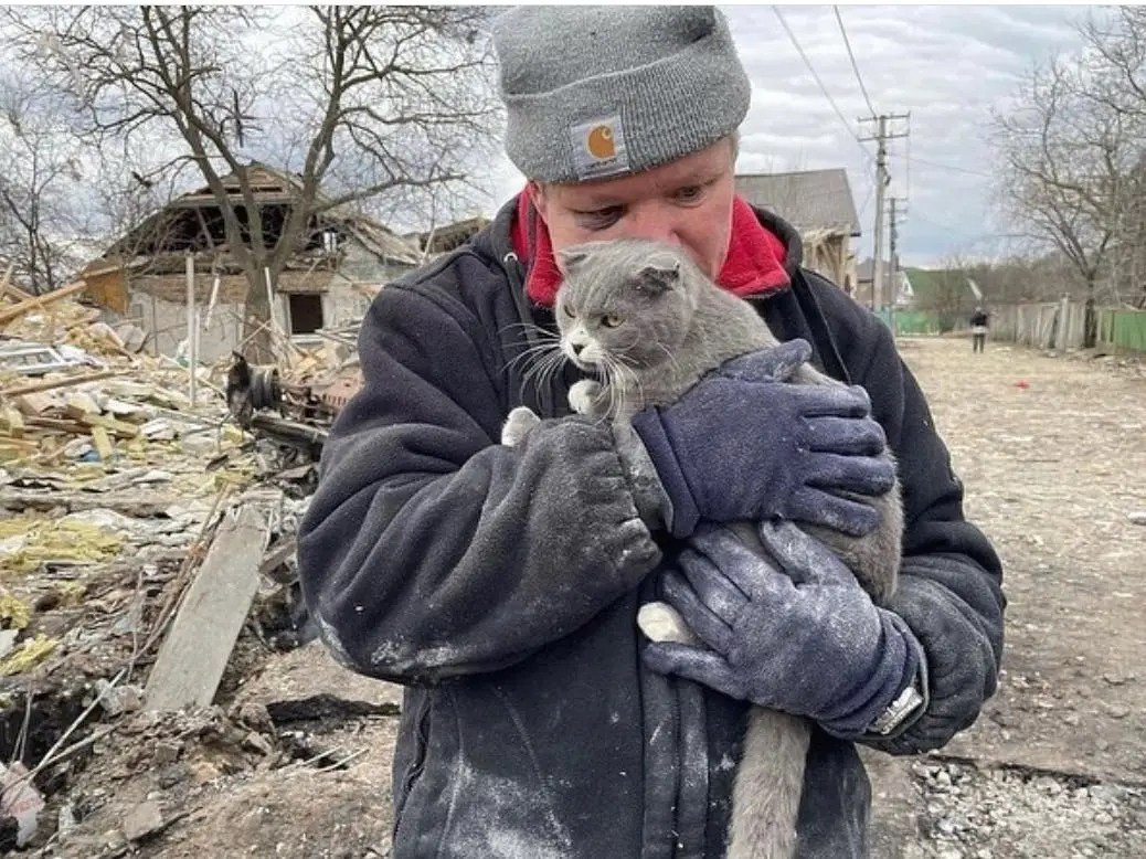 Ukraine Man and His Cat, the Only Family Left After Russian Bombing
