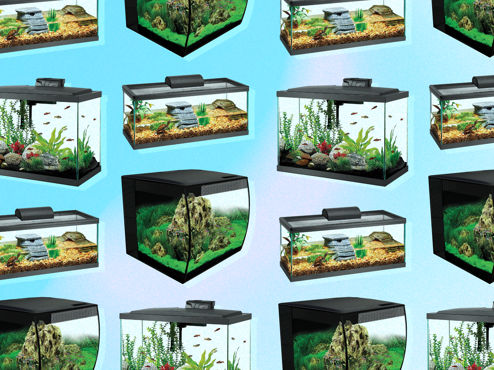 The 5 Best Fish Tanks in 2022