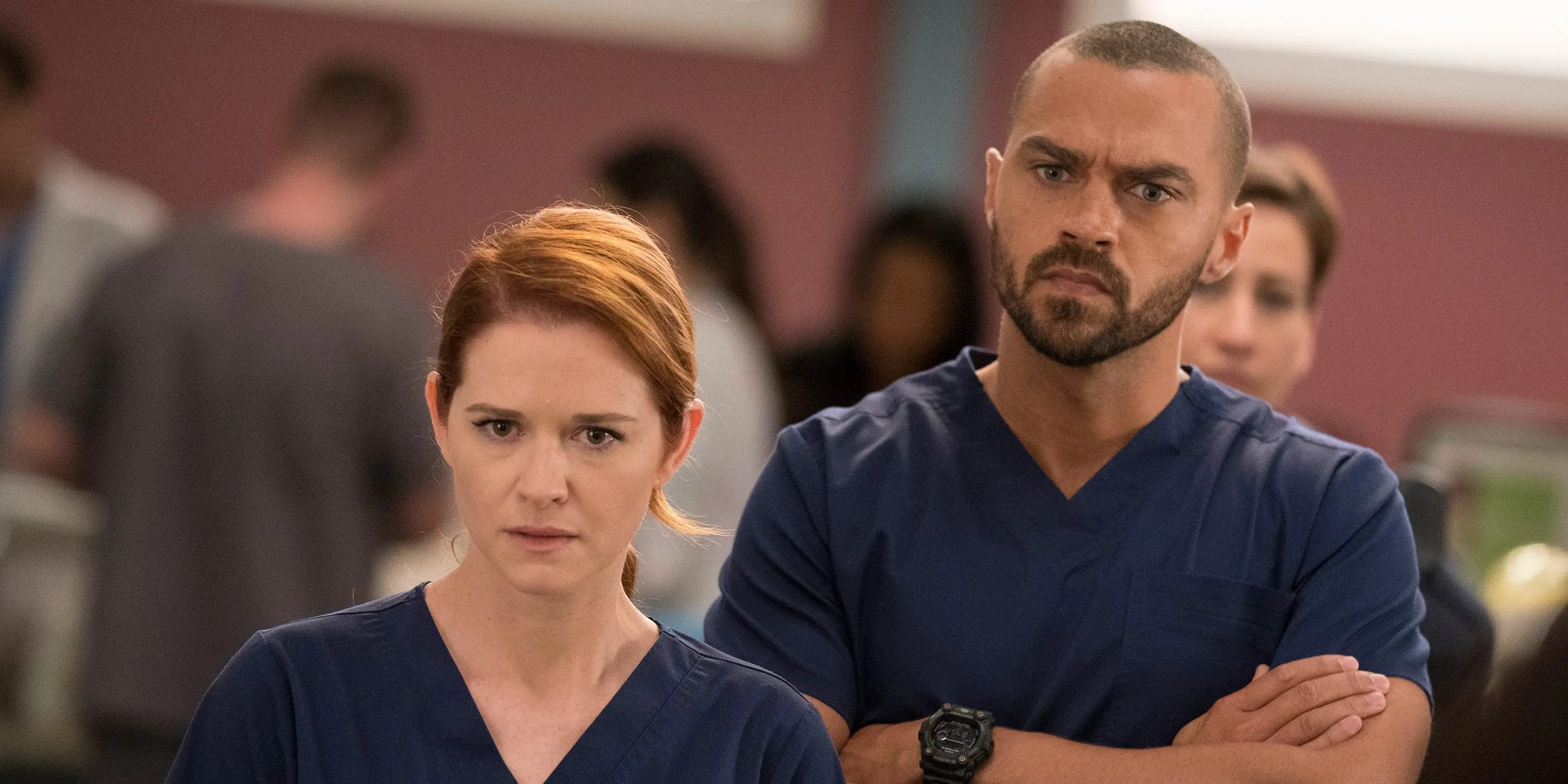Grey's Anatomy Jesse Williams, Sarah Drew Return for Season 18 Finale