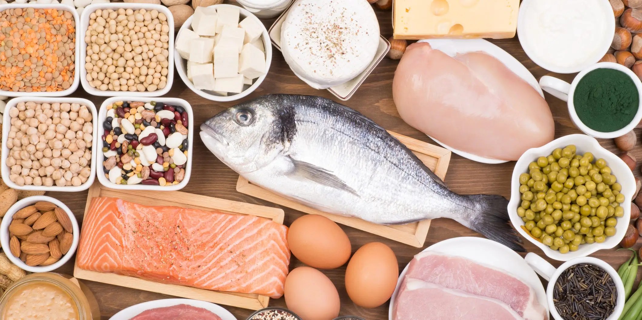 CHART Protein Per Serving in 20 Different Animal, PlantBased Foods