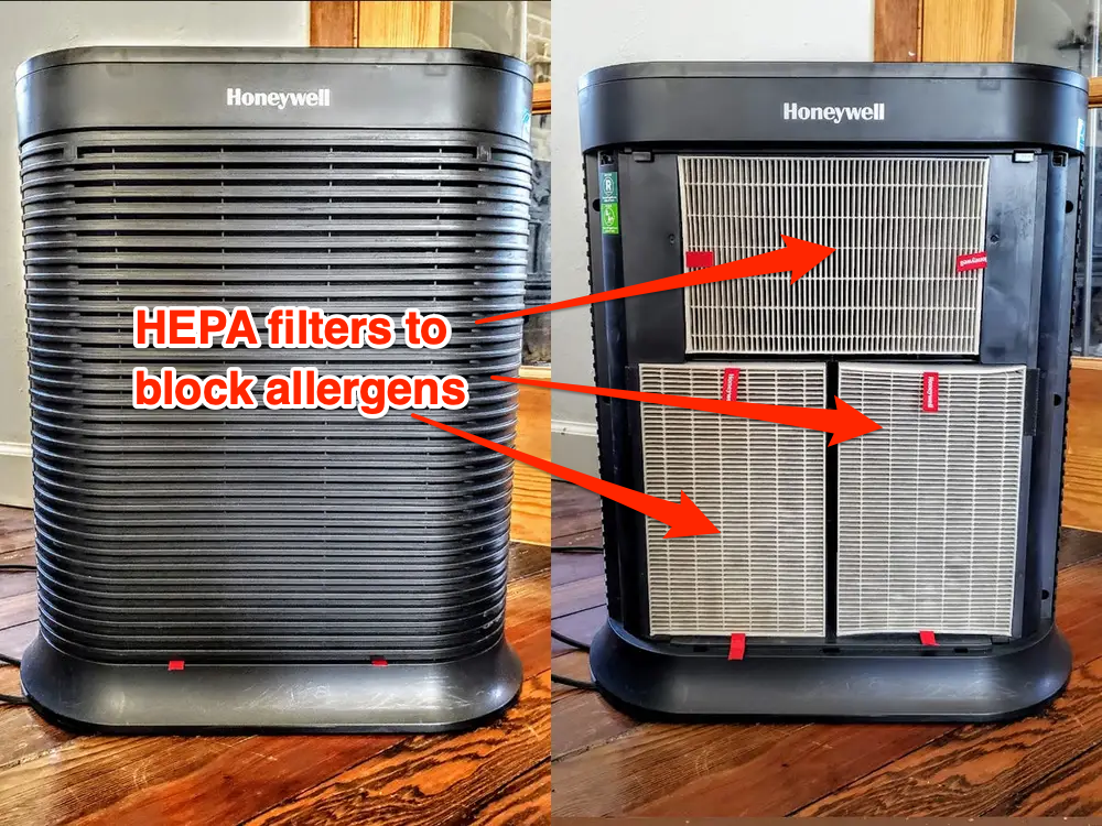 Are Air Free Air Purifiers Safe Around Dogs