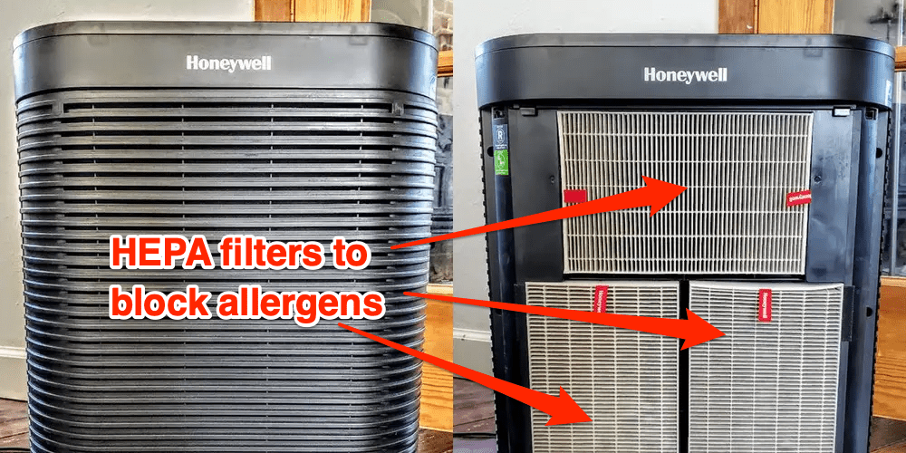 Honeywell HPA300 Air Purifier Review: Excellent for Allergies