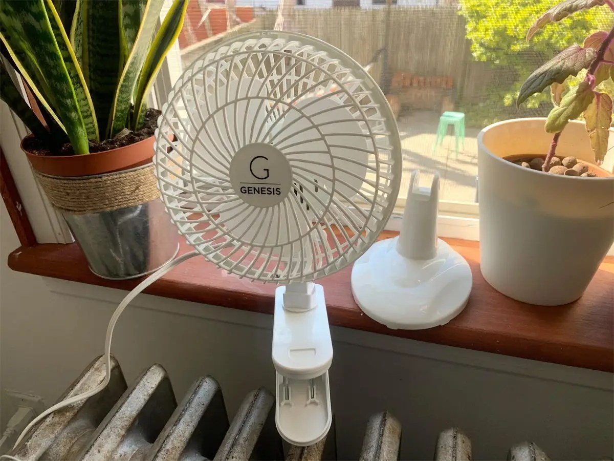 4 Best Fans to Keep Cool in Summer 2023