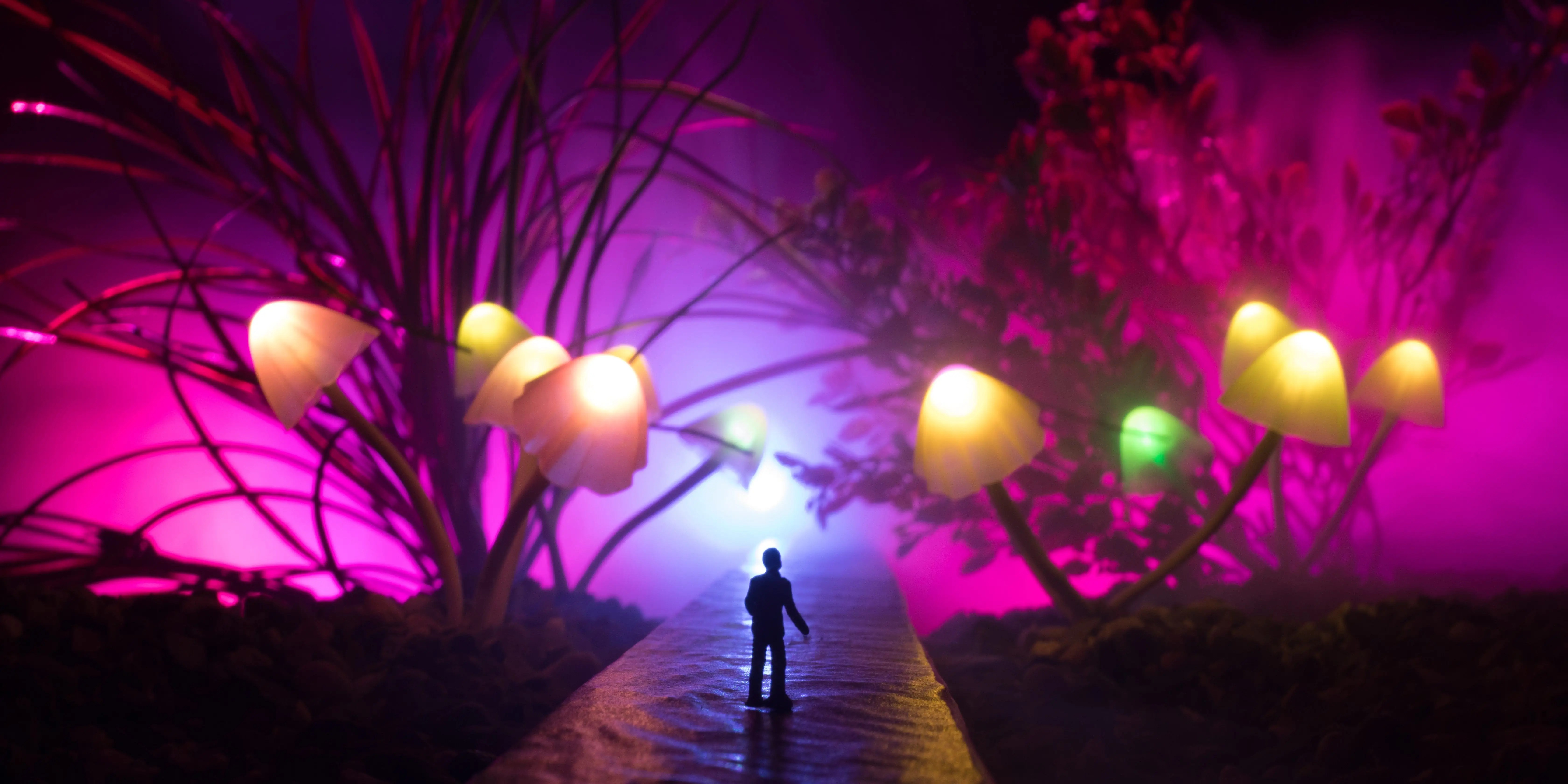 'Magic' Mushroom Trip Cured Man's OCD in Netflix's 'How to Change Your