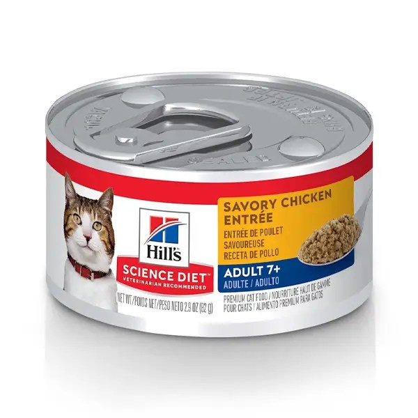 Best Cat Food In 2023 Veterinarian lupon.gov.ph