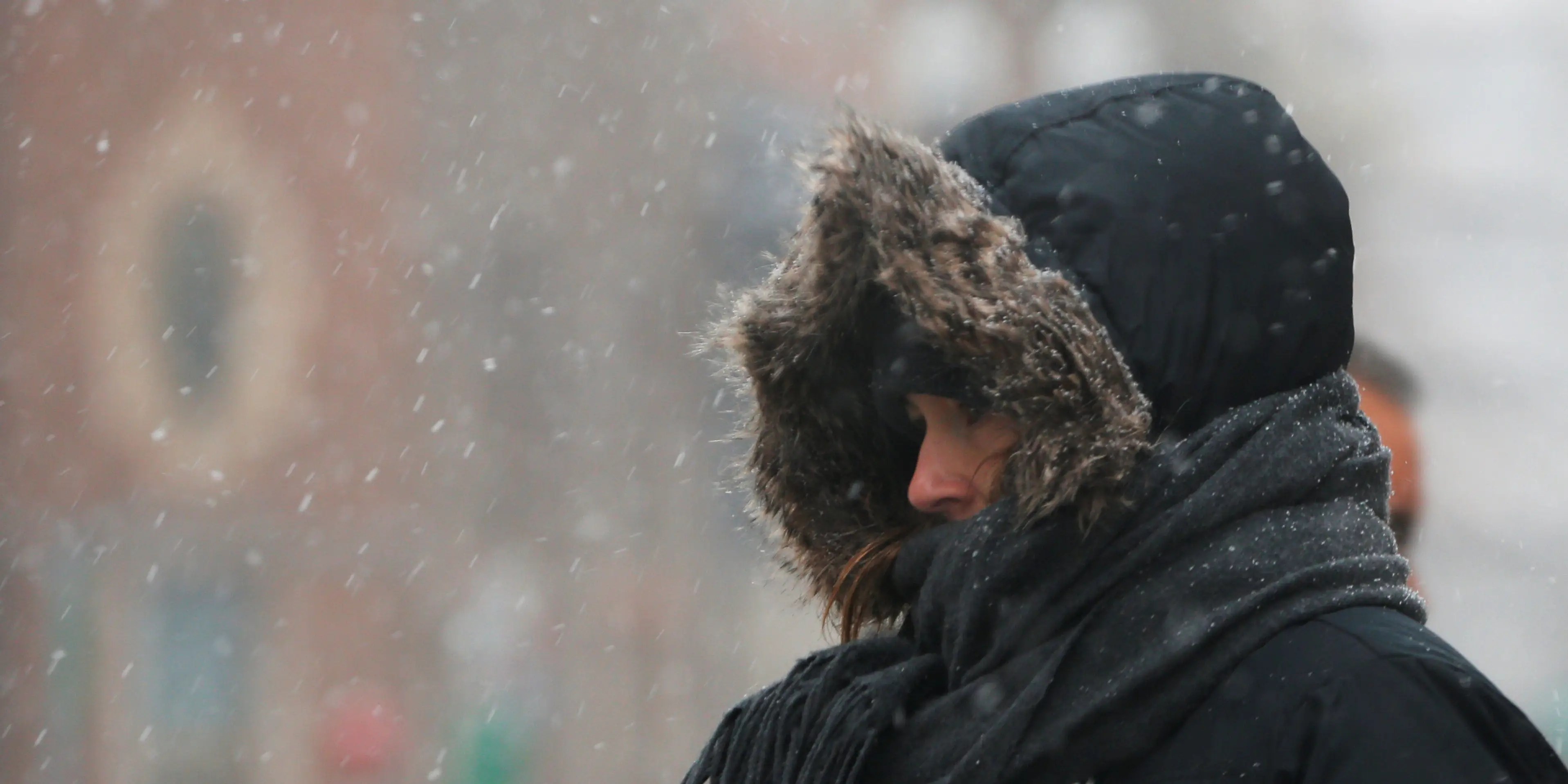 Europe's winters could be 'terrible' for up to 10 years unless the EU