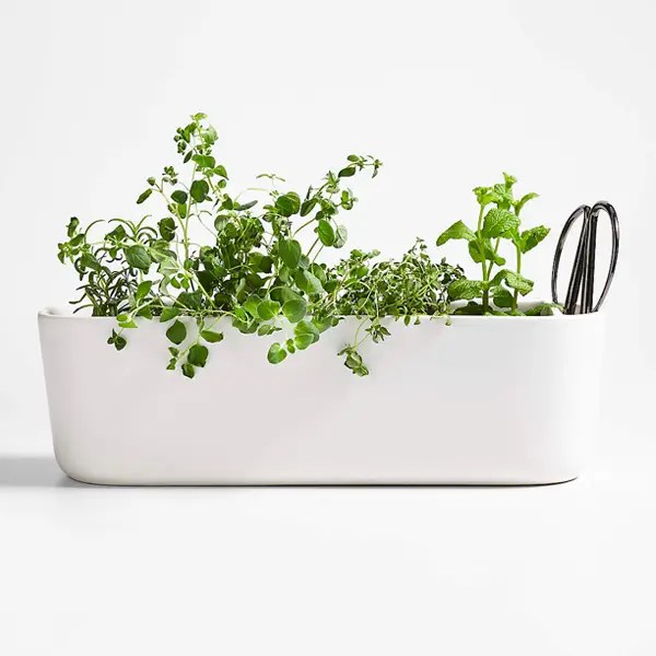 13 Best Outdoor Decor Ideas for Your Yard, Patio, or Deck Herbal