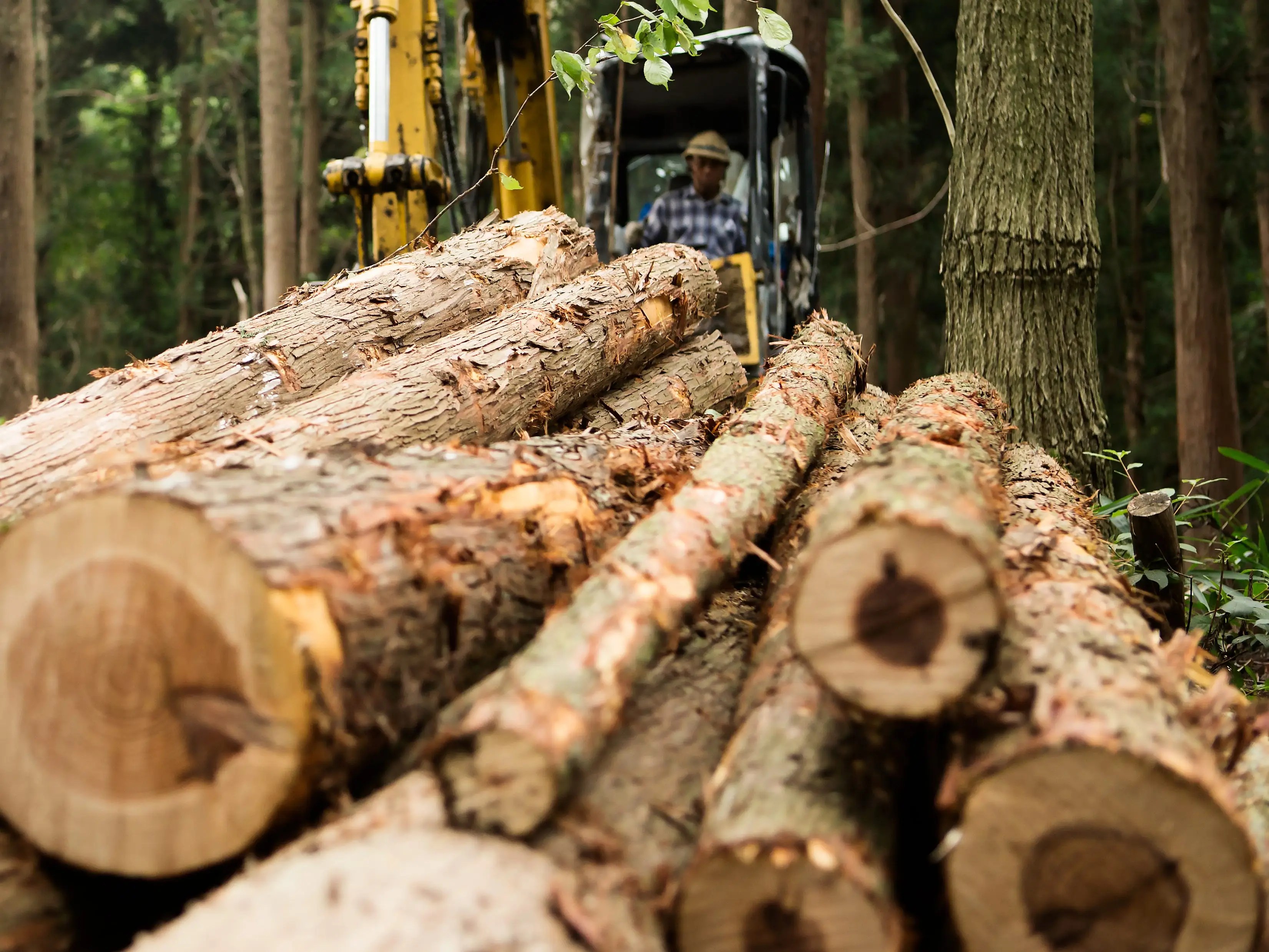 Lumber prices jump on a surprise rebound in new home construction last