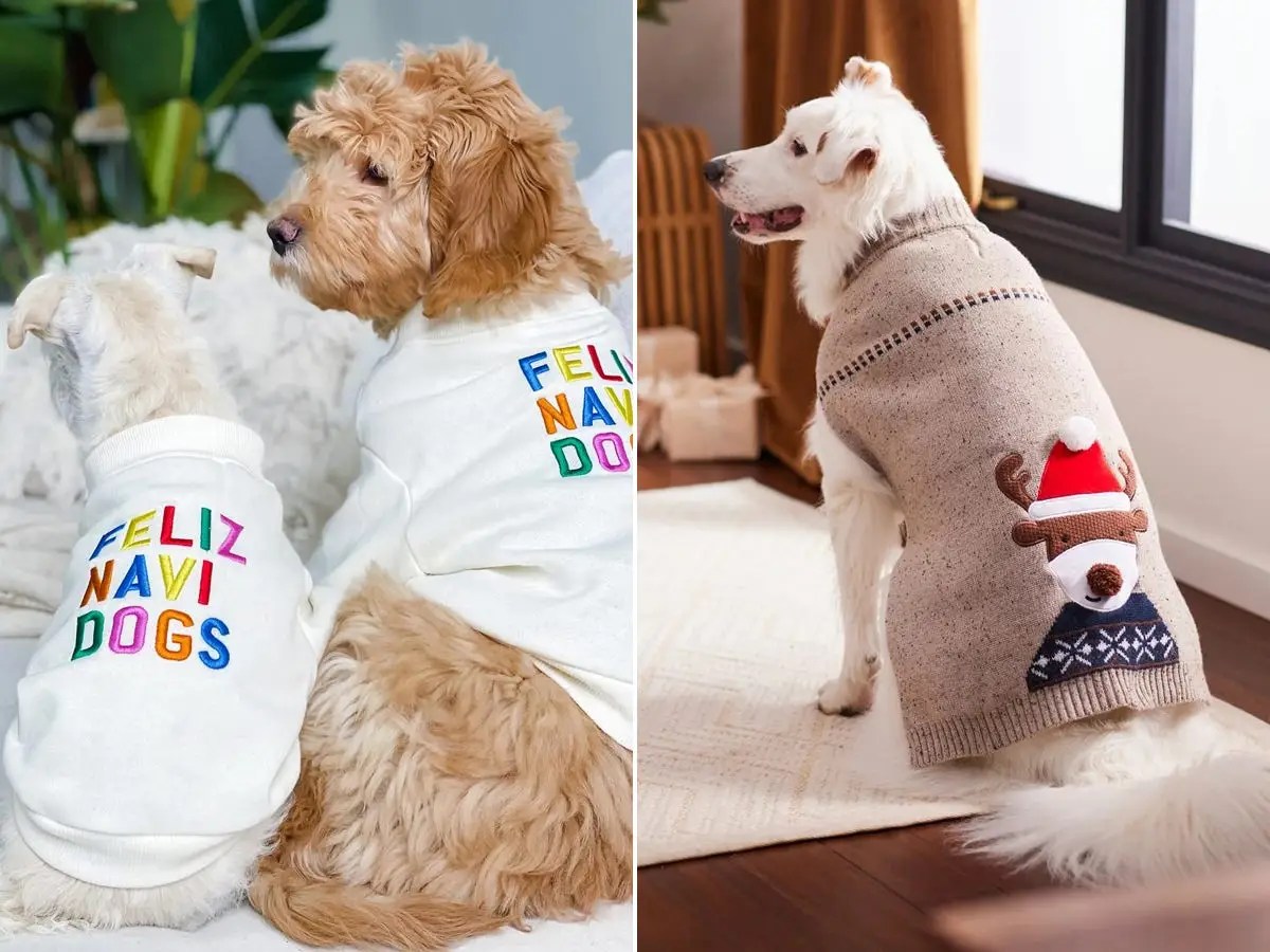 Do Sweaters Help Dogs