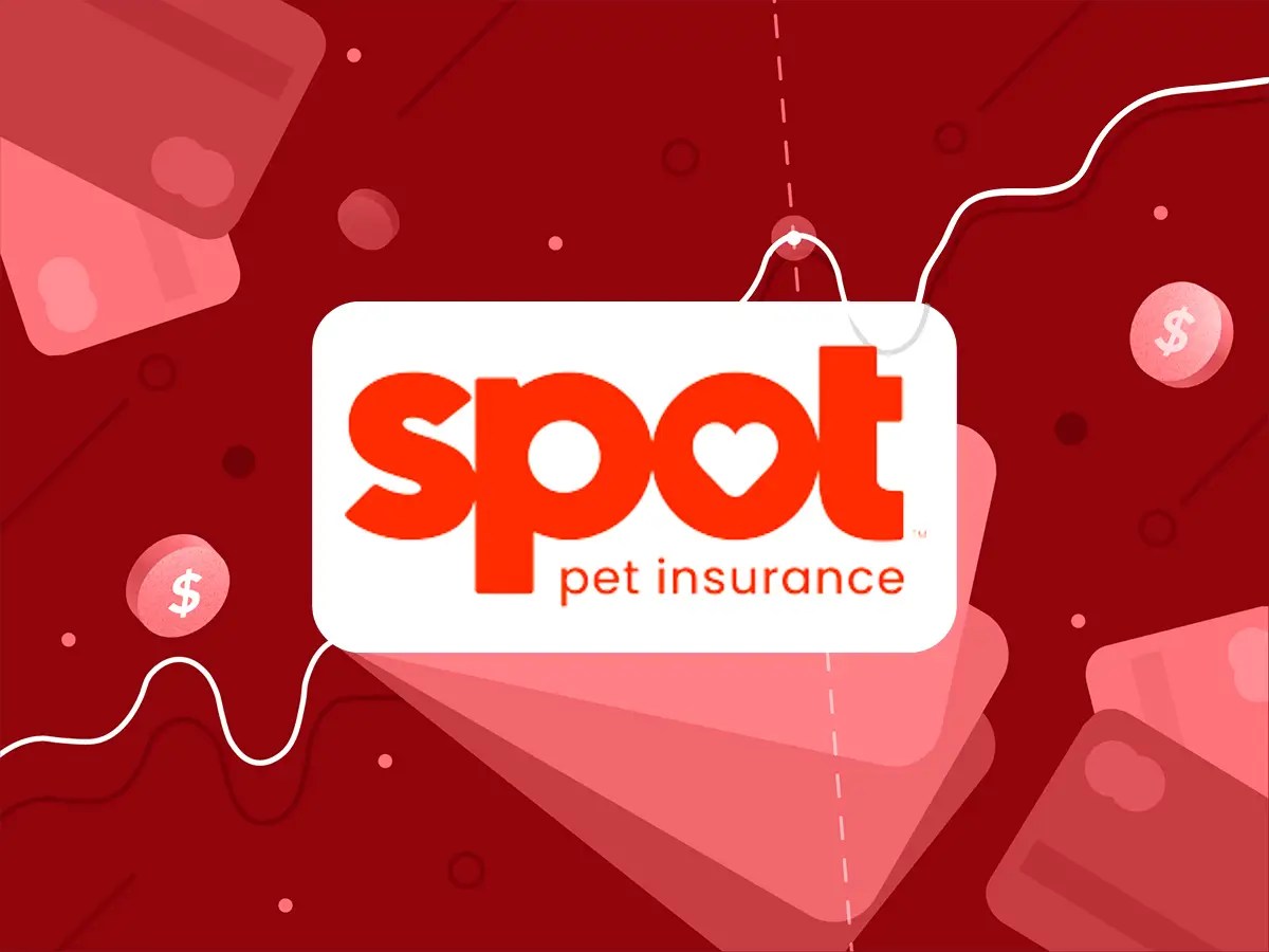 Spot Pet Insurance Review Plans, Rates, Benefits, and FAQ