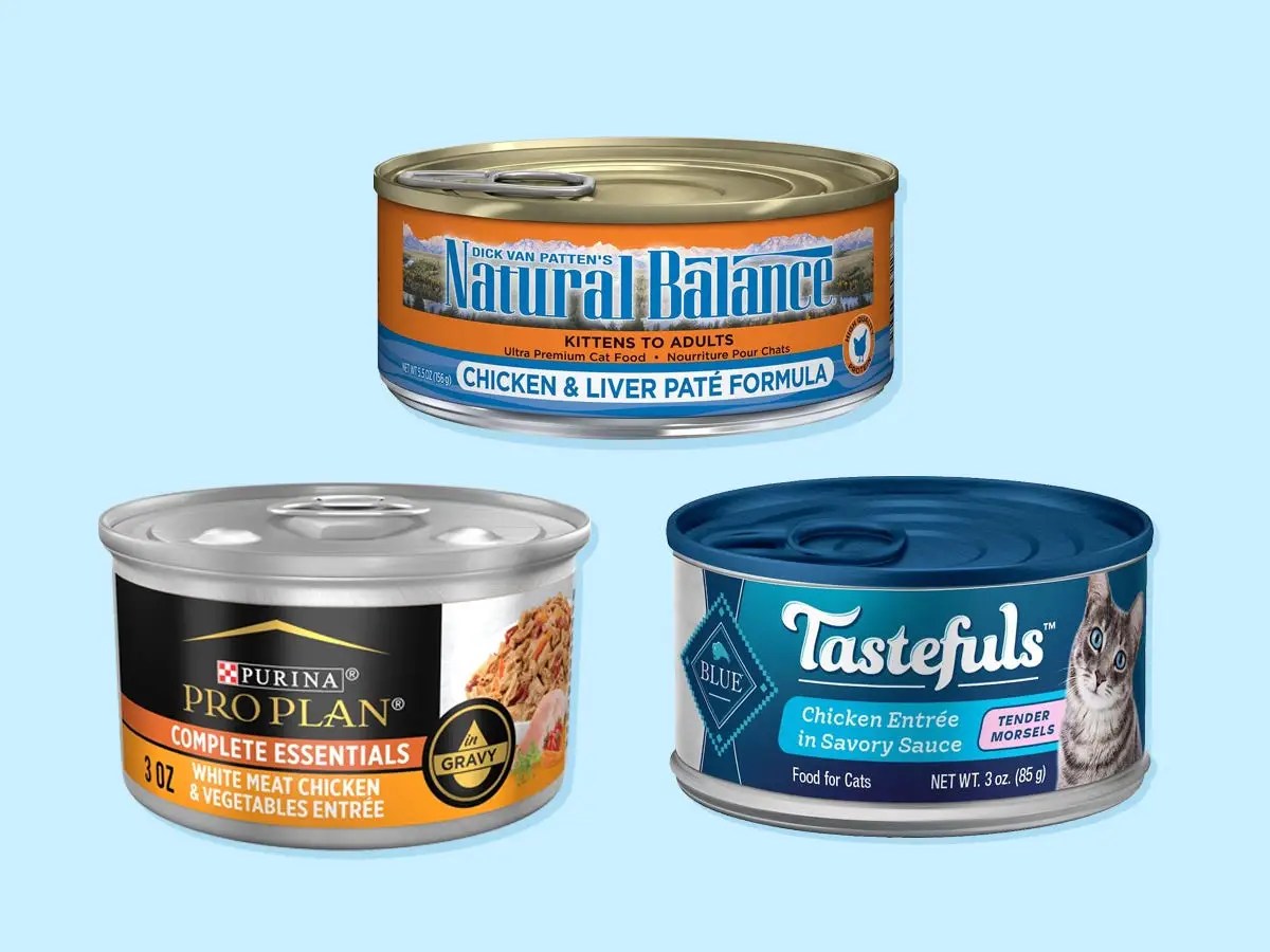 The best cat food of 2023 with advice from veterinarians Dikla Akrat