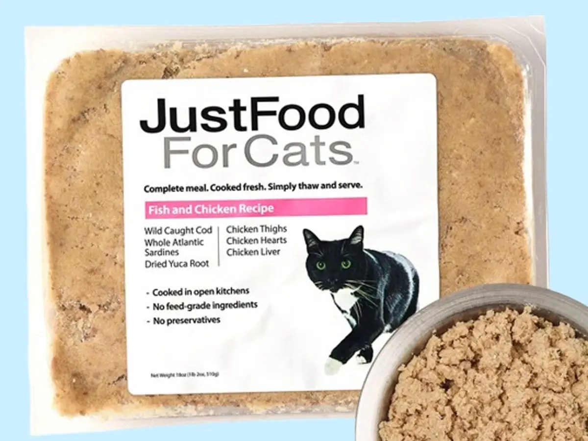 The best cat foods of 2024, reviewed with advice from veterinarians