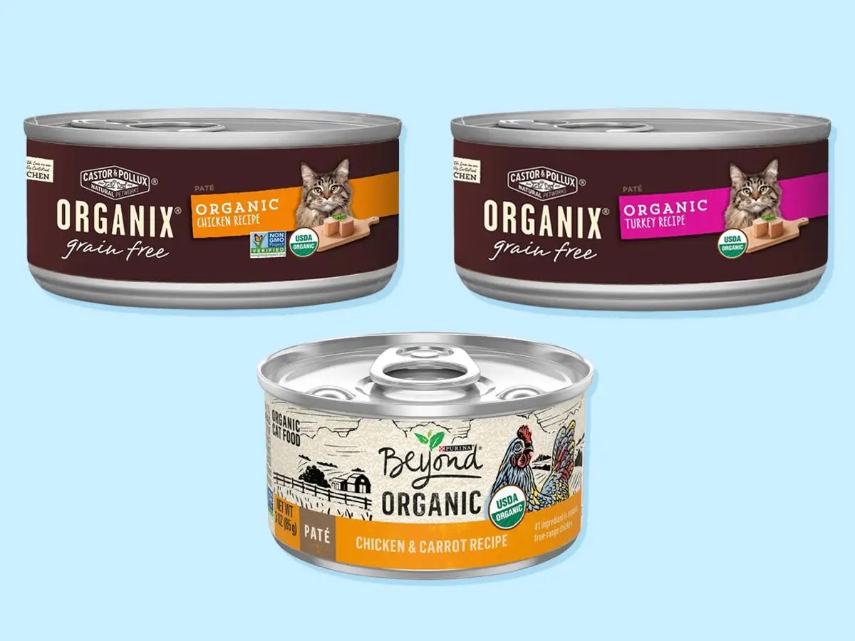 The best cat food of 2023 with advice from veterinarians Dikla Akrat