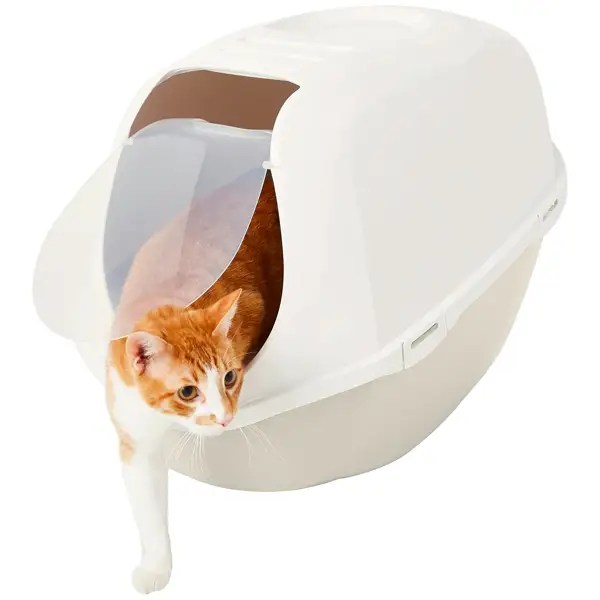 The 13 Best Cat Litter Boxes of 2024, Tested and Reviewed