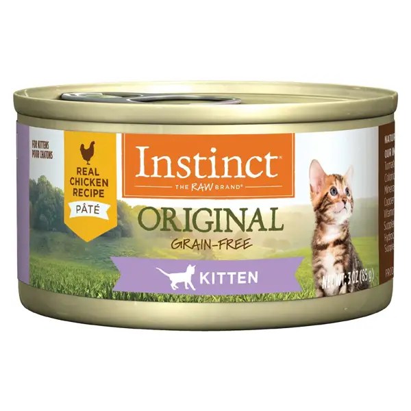 Most Nutritious Wet Cat Food Cheapest Outlet
